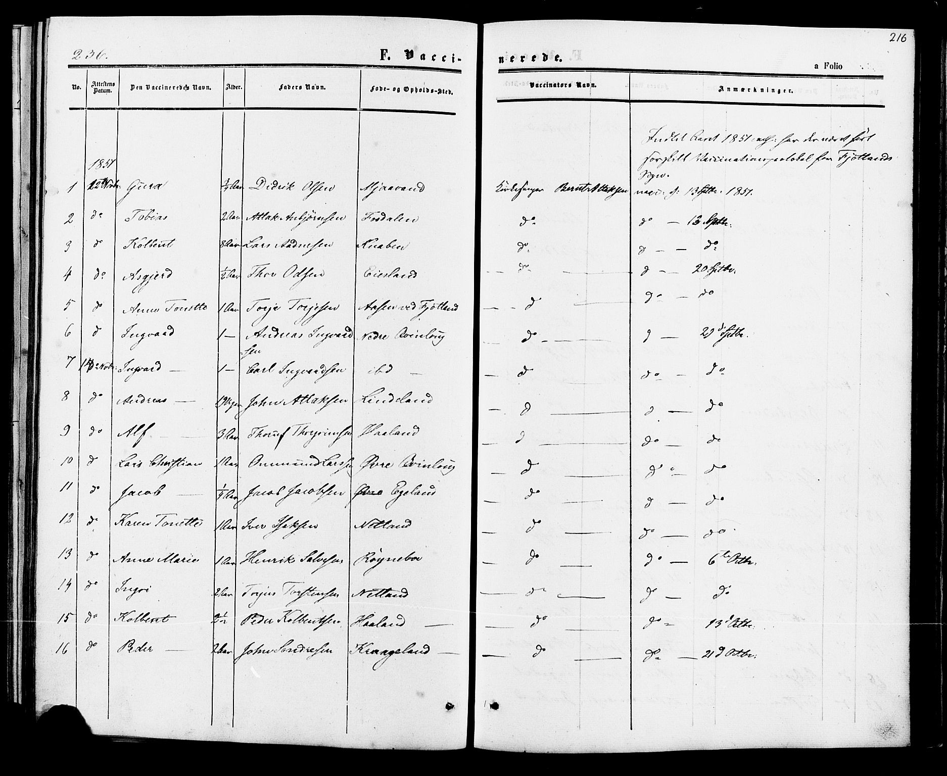 Fjotland sokneprestkontor, AV/SAK-1111-0010/F/Fa/L0001: Parish register (official) no. A 1, 1850-1879, p. 216