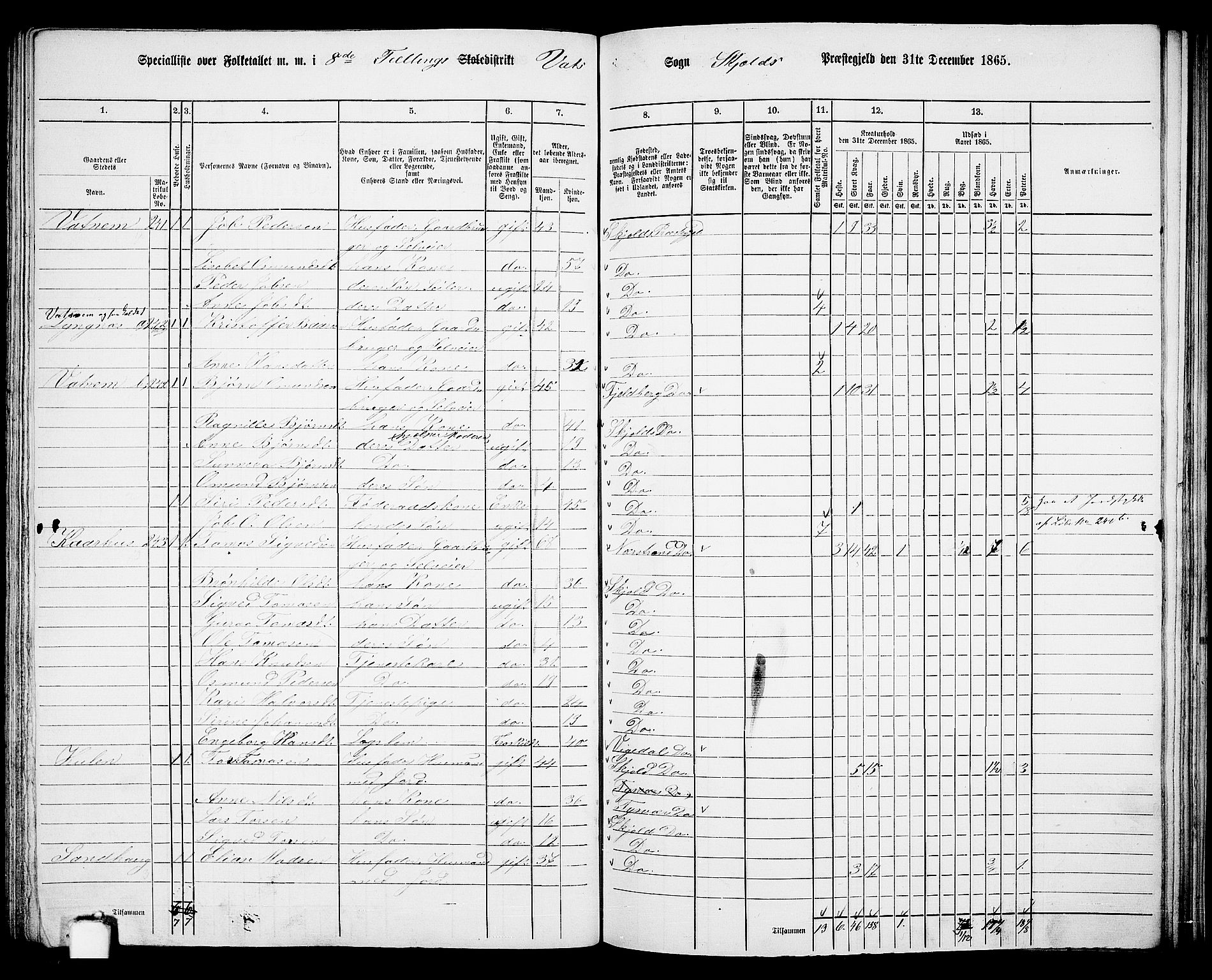 RA, 1865 census for Skjold, 1865, p. 120