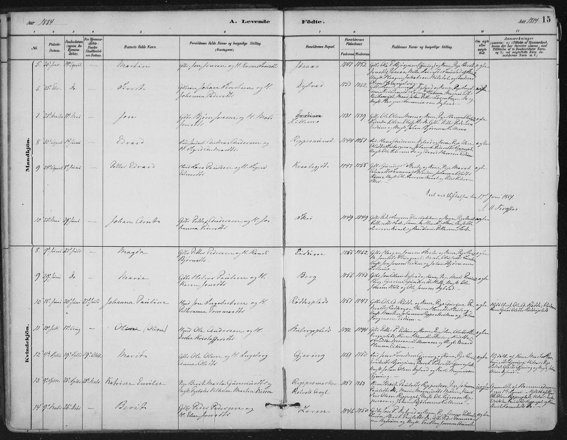 Ministerialprotokoller, klokkerbøker og fødselsregistre - Nord-Trøndelag, AV/SAT-A-1458/710/L0095: Parish register (official) no. 710A01, 1880-1914, p. 15