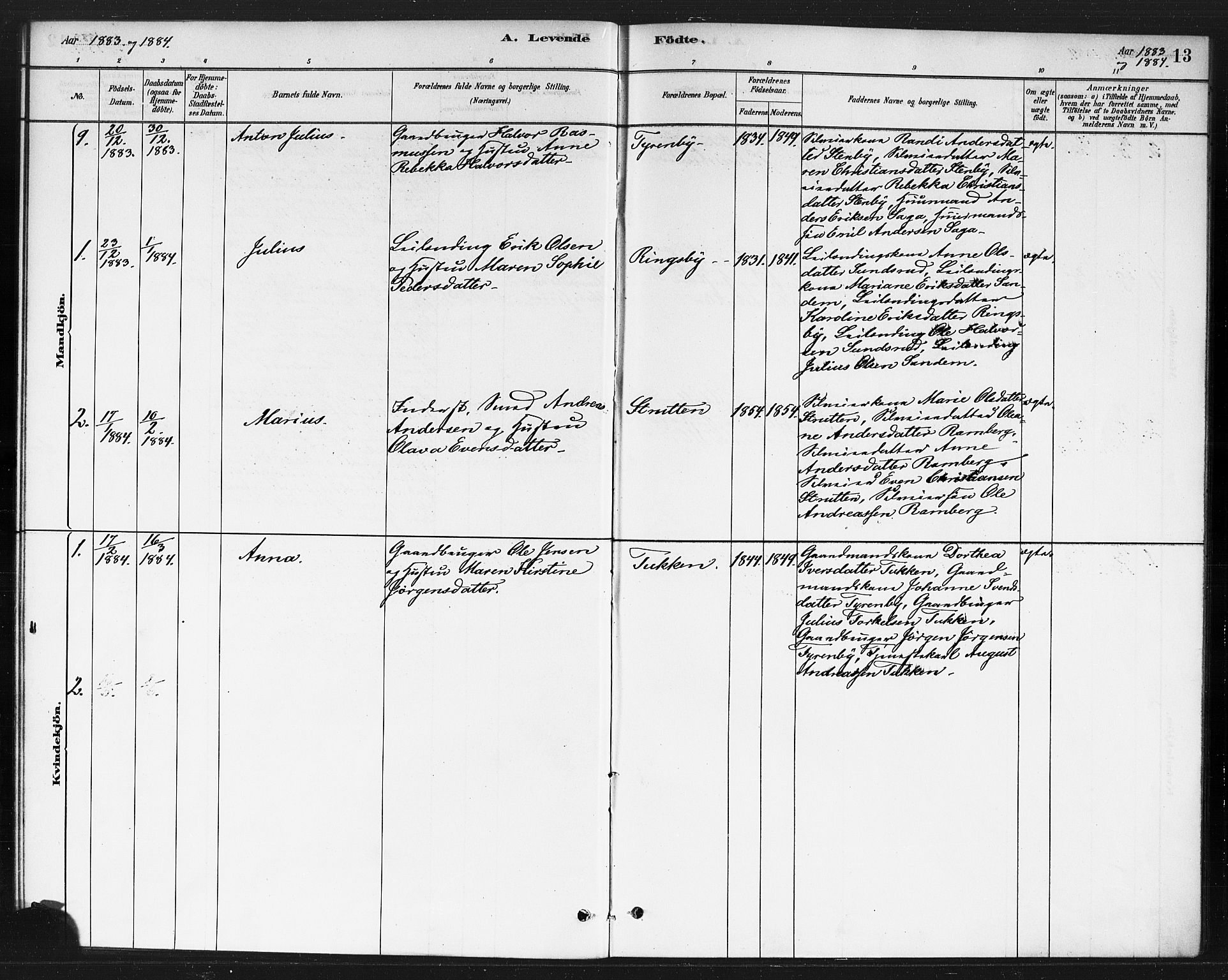 Rødenes prestekontor Kirkebøker, AV/SAO-A-2005/F/Fb/L0001: Parish register (official) no. II 1, 1880-1889, p. 13