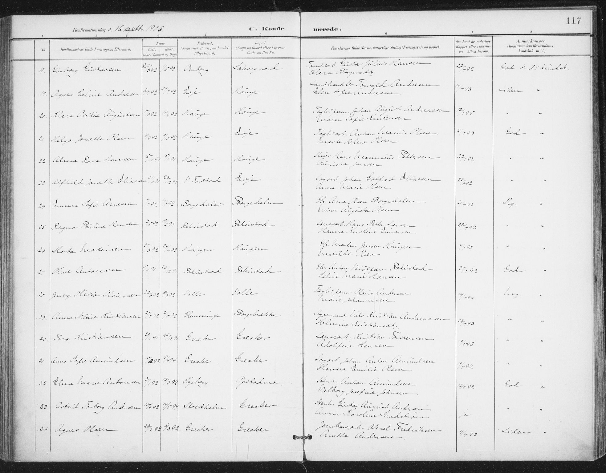 Rolvsøy prestekontor Kirkebøker, AV/SAO-A-2004/F/Fa/L0001: Parish register (official) no. 1, 1901-1909, p. 117