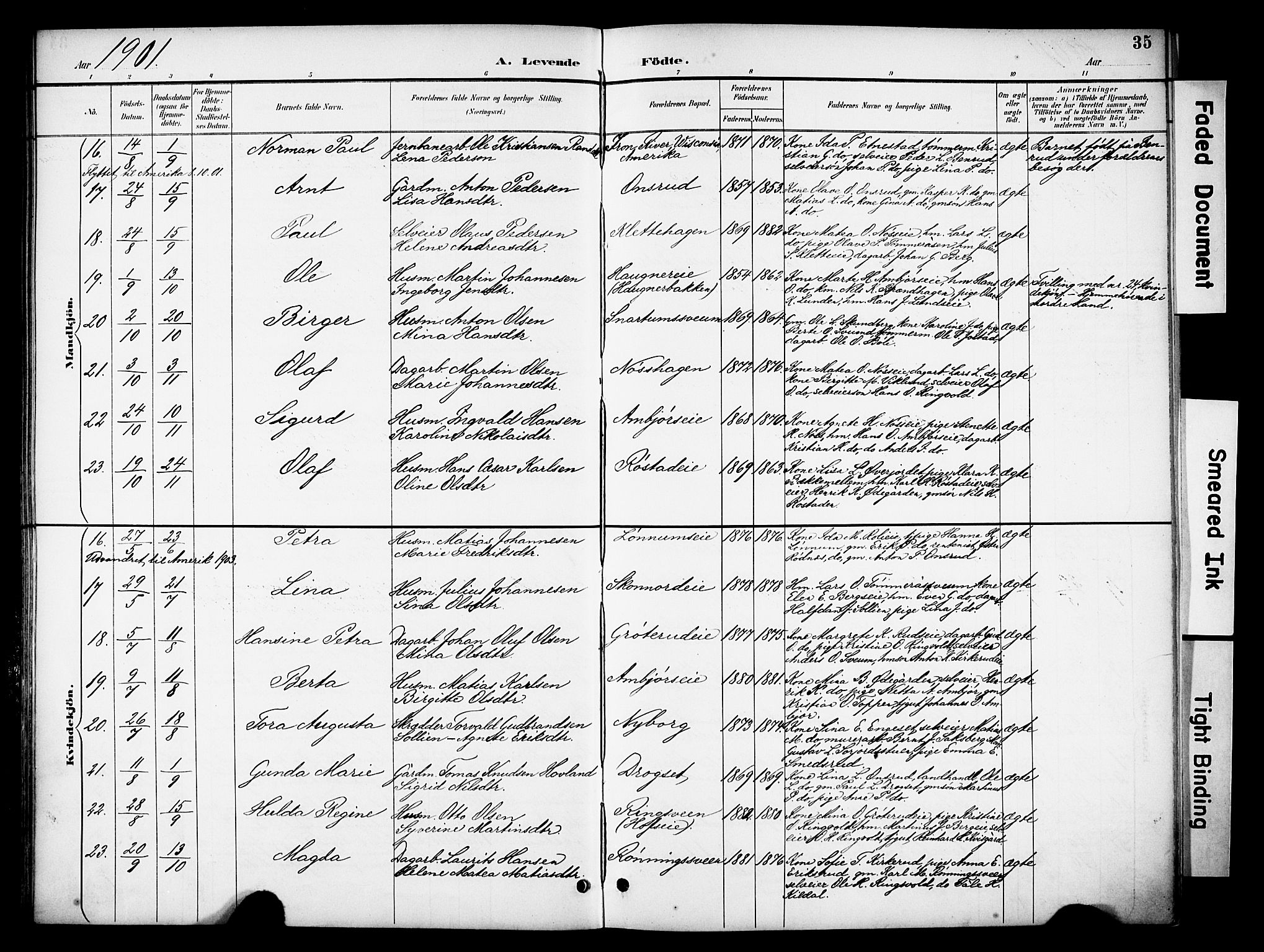 Biri prestekontor, SAH/PREST-096/H/Ha/Haa/L0008: Parish register (official) no. 8, 1894-1901, p. 35