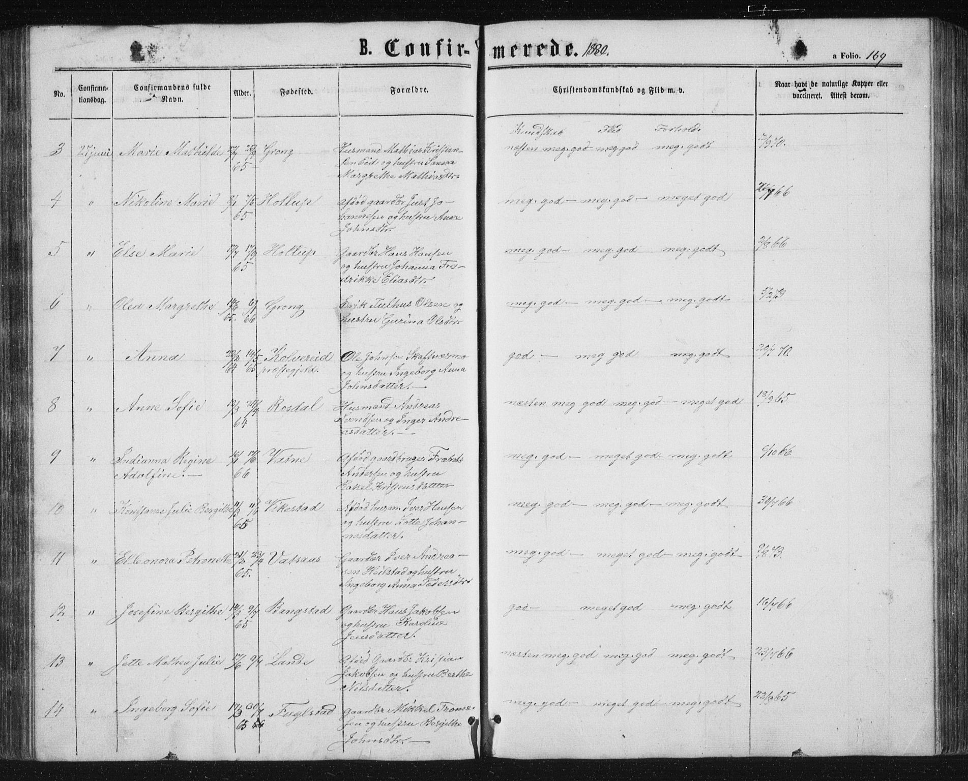 Ministerialprotokoller, klokkerbøker og fødselsregistre - Nordland, AV/SAT-A-1459/810/L0158: Parish register (copy) no. 810C02 /1, 1863-1883, p. 169