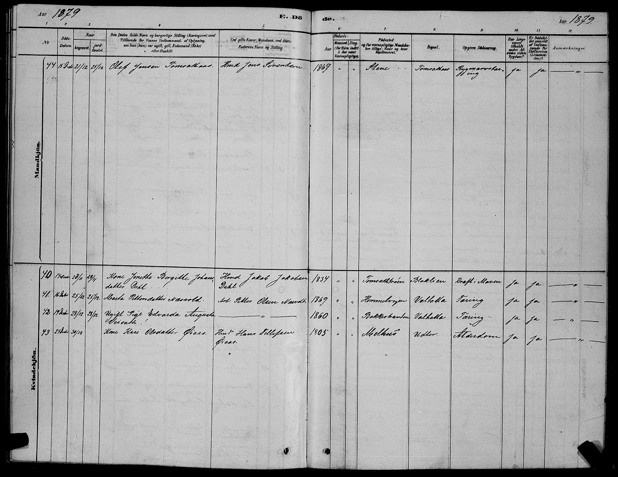 Ministerialprotokoller, klokkerbøker og fødselsregistre - Sør-Trøndelag, SAT/A-1456/606/L0312: Parish register (copy) no. 606C08, 1878-1894