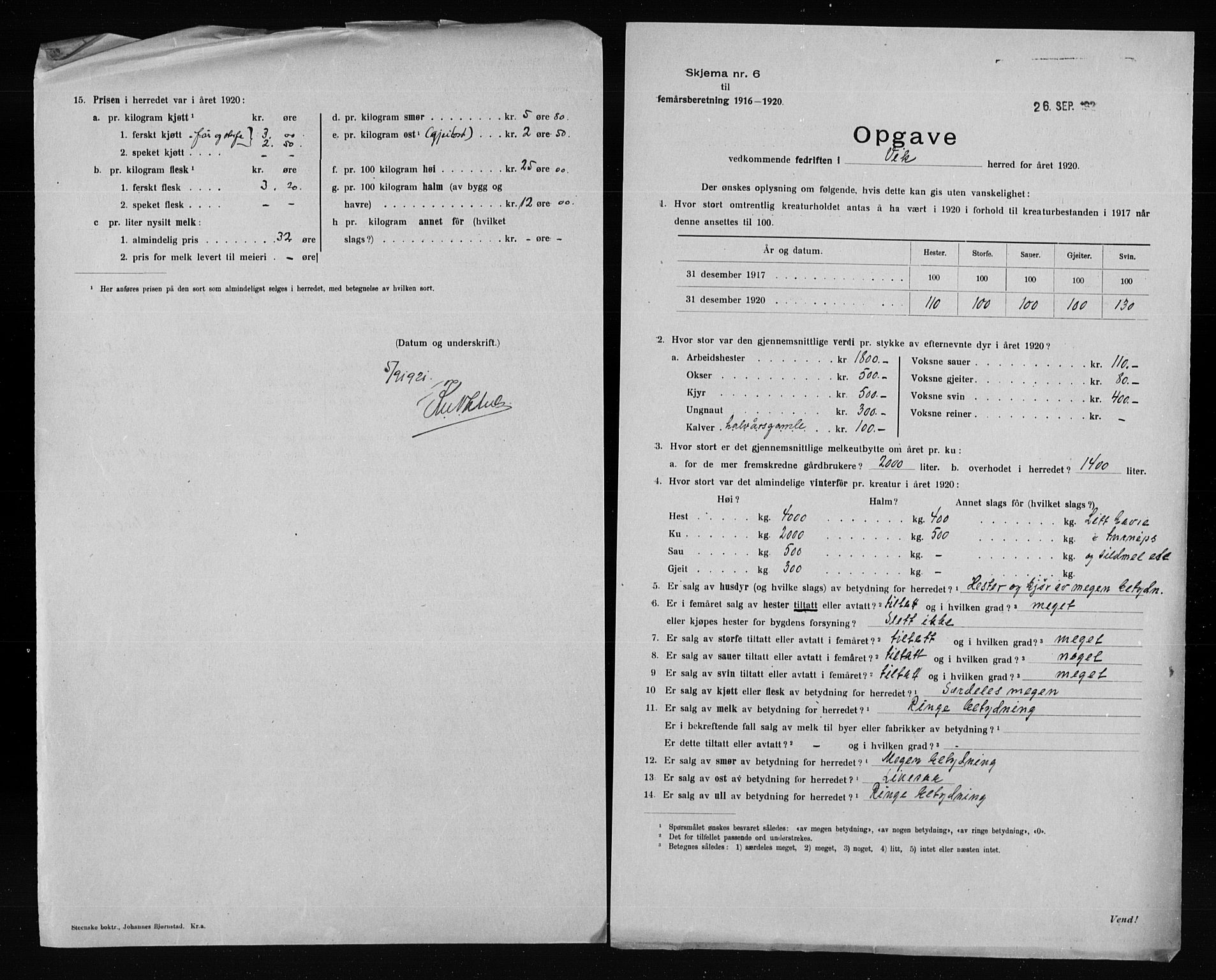 Statistisk sentralbyrå, Næringsøkonomiske emner, Generelt - Amtmennenes femårsberetninger, AV/RA-S-2233/F/Fa/L0128: --, 1916-1920, p. 3