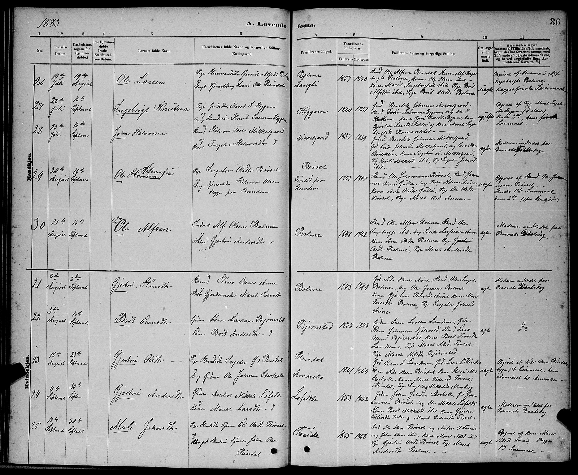 Ministerialprotokoller, klokkerbøker og fødselsregistre - Møre og Romsdal, AV/SAT-A-1454/598/L1077: Parish register (copy) no. 598C02, 1879-1891, p. 36