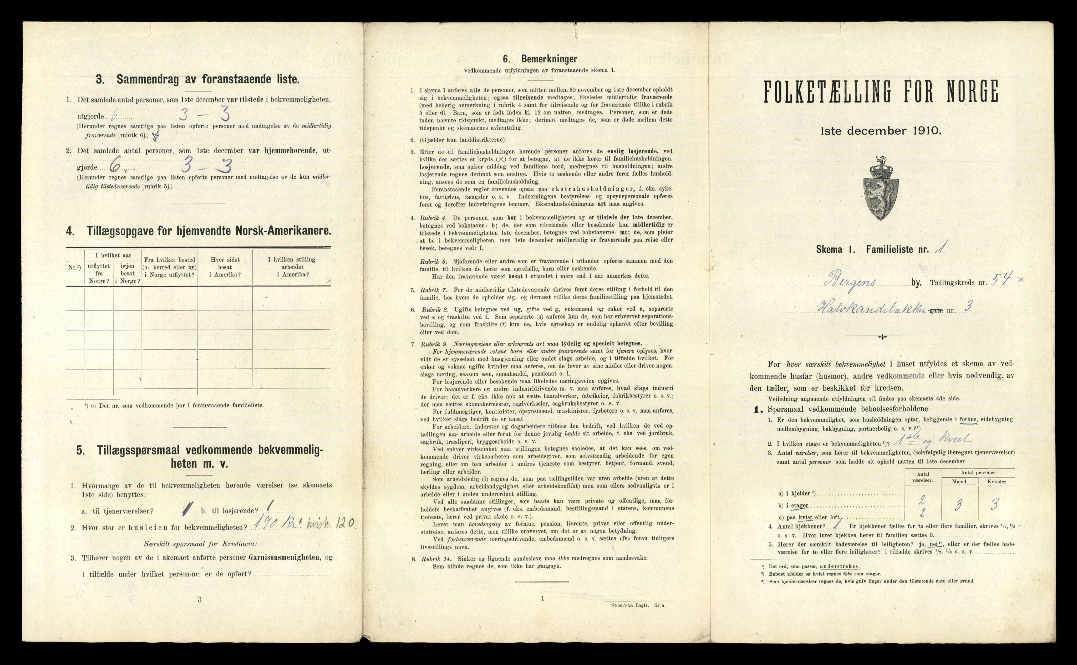 RA, 1910 census for Bergen, 1910, p. 19041