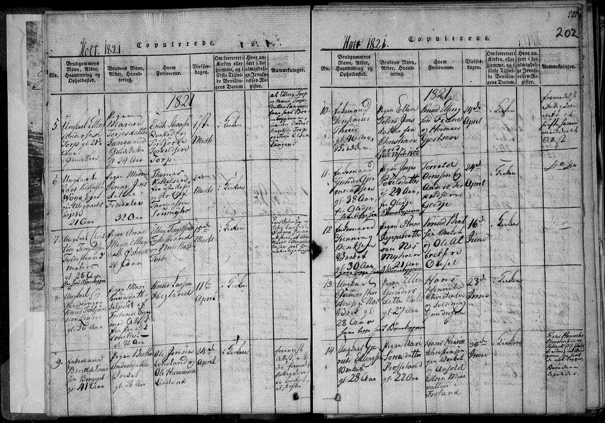 Holt sokneprestkontor, AV/SAK-1111-0021/F/Fa/L0005: Parish register (official) no. A 5, 1813-1821, p. 202