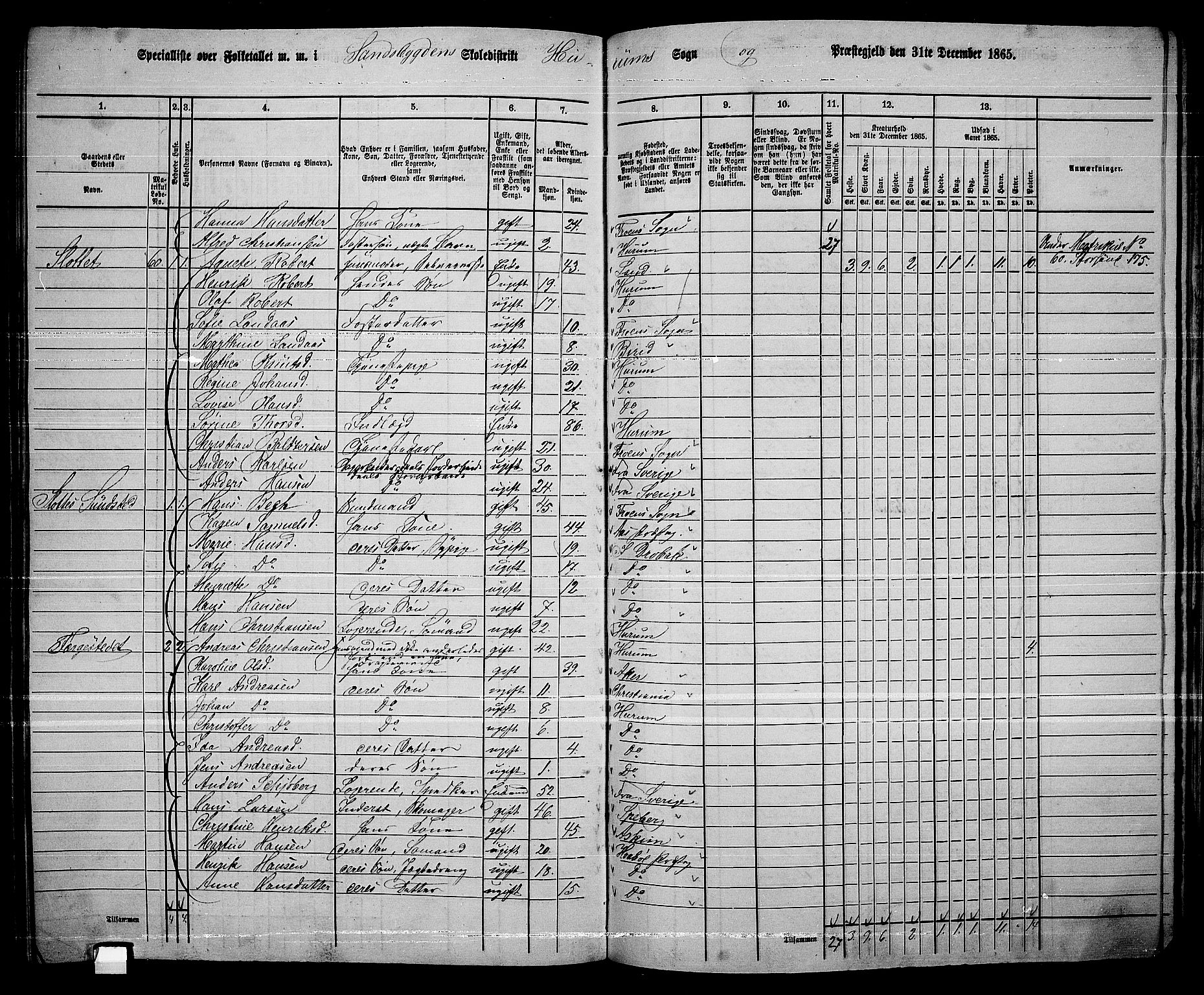 RA, 1865 census for Hurum, 1865, p. 87