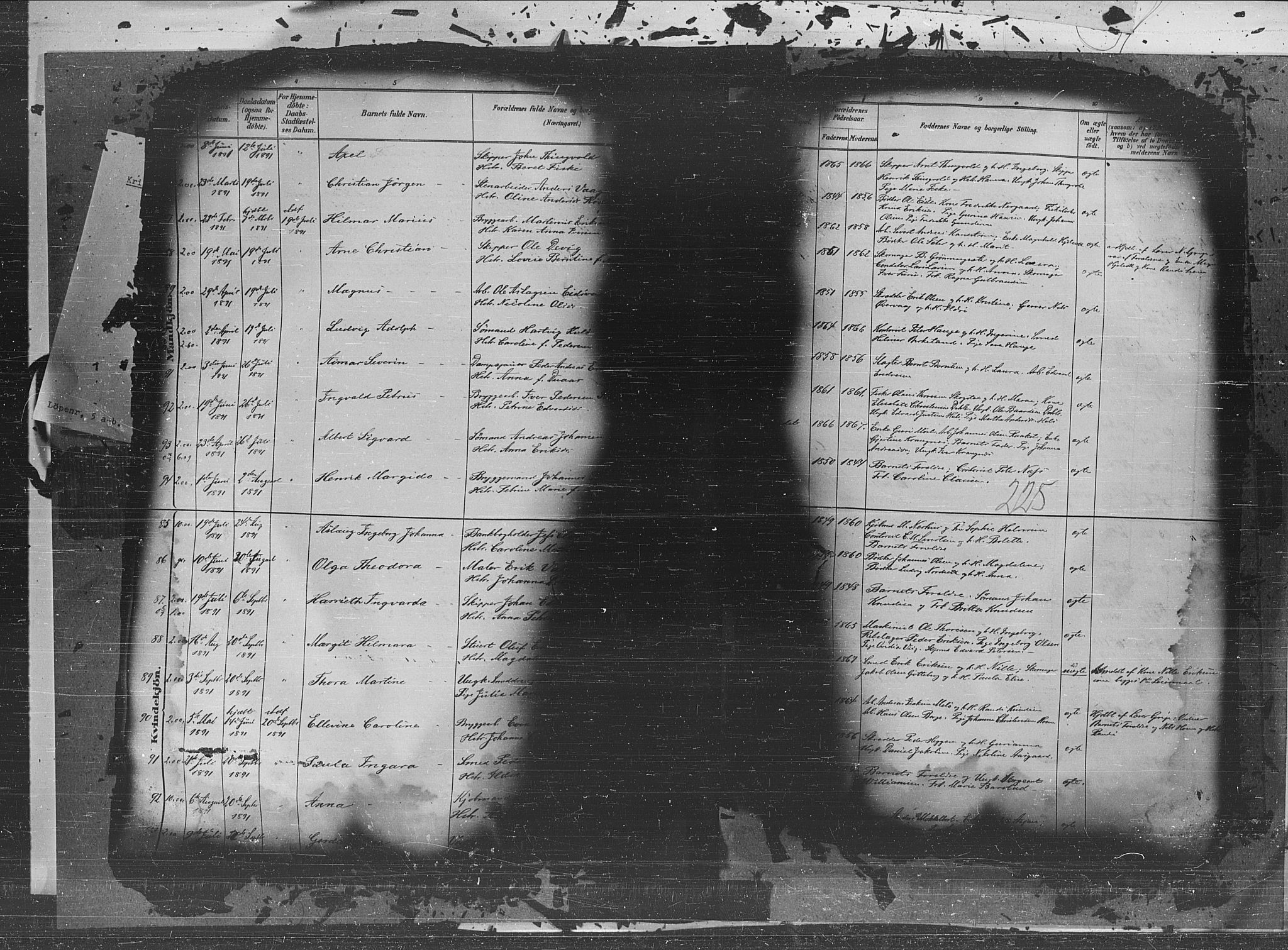 Ministerialprotokoller, klokkerbøker og fødselsregistre - Møre og Romsdal, AV/SAT-A-1454/572/L0851: Parish register (official) no. 572A14, 1880-1897, p. 225
