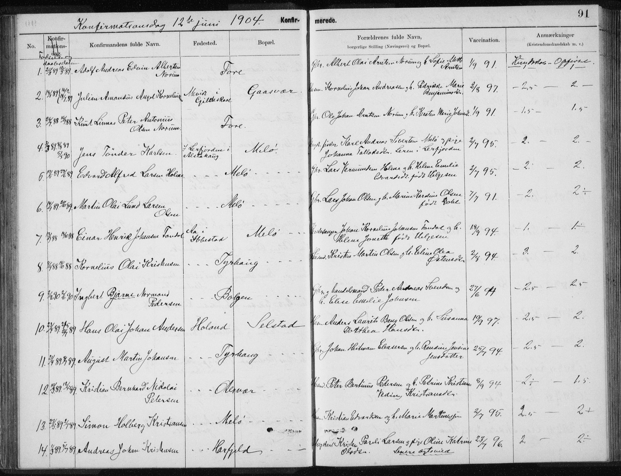 Ministerialprotokoller, klokkerbøker og fødselsregistre - Nordland, SAT/A-1459/843/L0637: Parish register (copy) no. 843C06, 1884-1908, p. 91