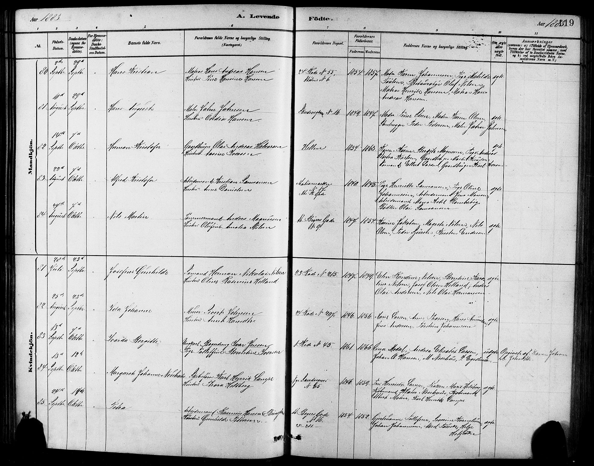 Sandviken Sokneprestembete, AV/SAB-A-77601/H/Hb/L0001: Parish register (copy) no. A 2, 1879-1892, p. 119