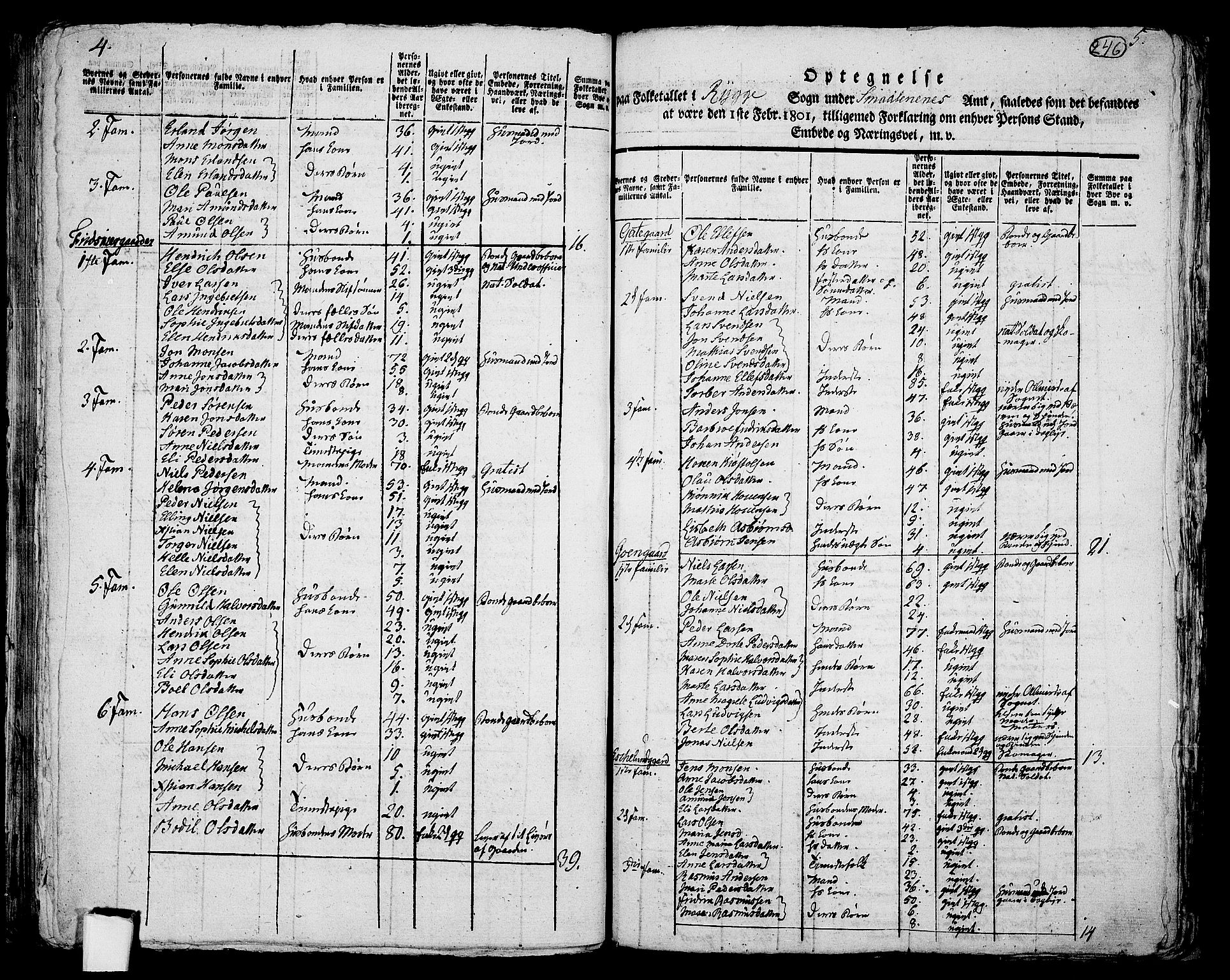 RA, 1801 census for 0136P Rygge, 1801, p. 245b-246a