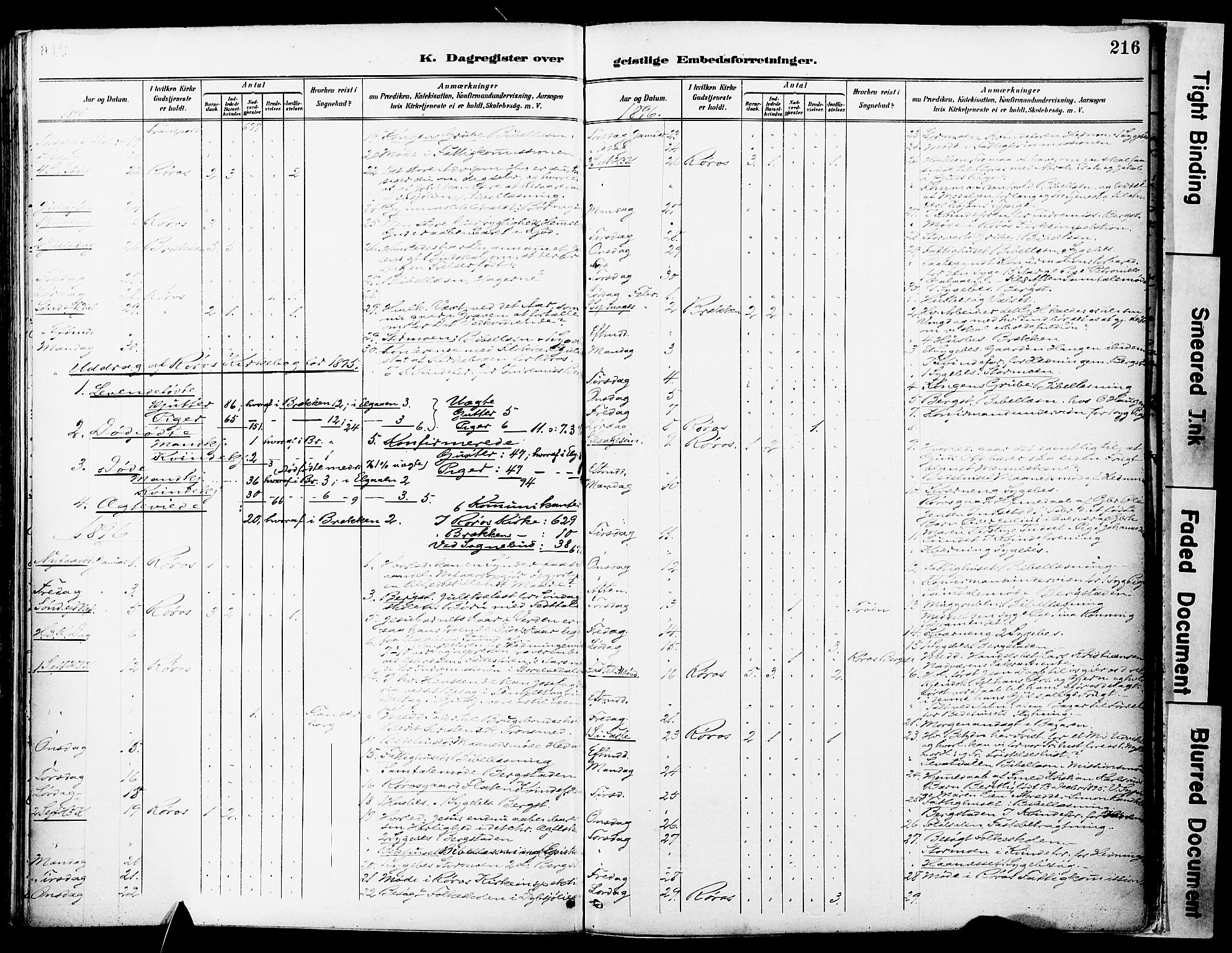 Ministerialprotokoller, klokkerbøker og fødselsregistre - Sør-Trøndelag, AV/SAT-A-1456/681/L0935: Parish register (official) no. 681A13, 1890-1898, p. 216