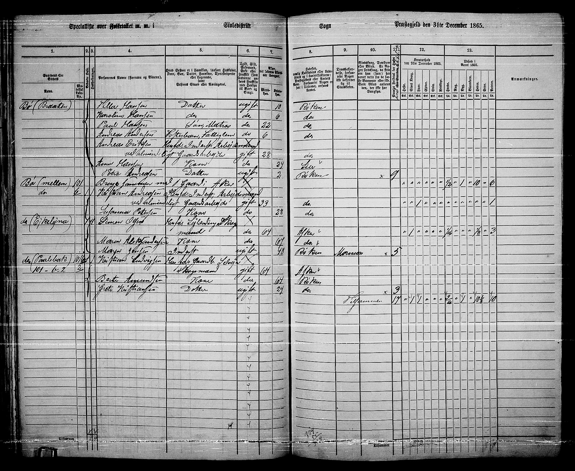 RA, 1865 census for Røyken, 1865, p. 75