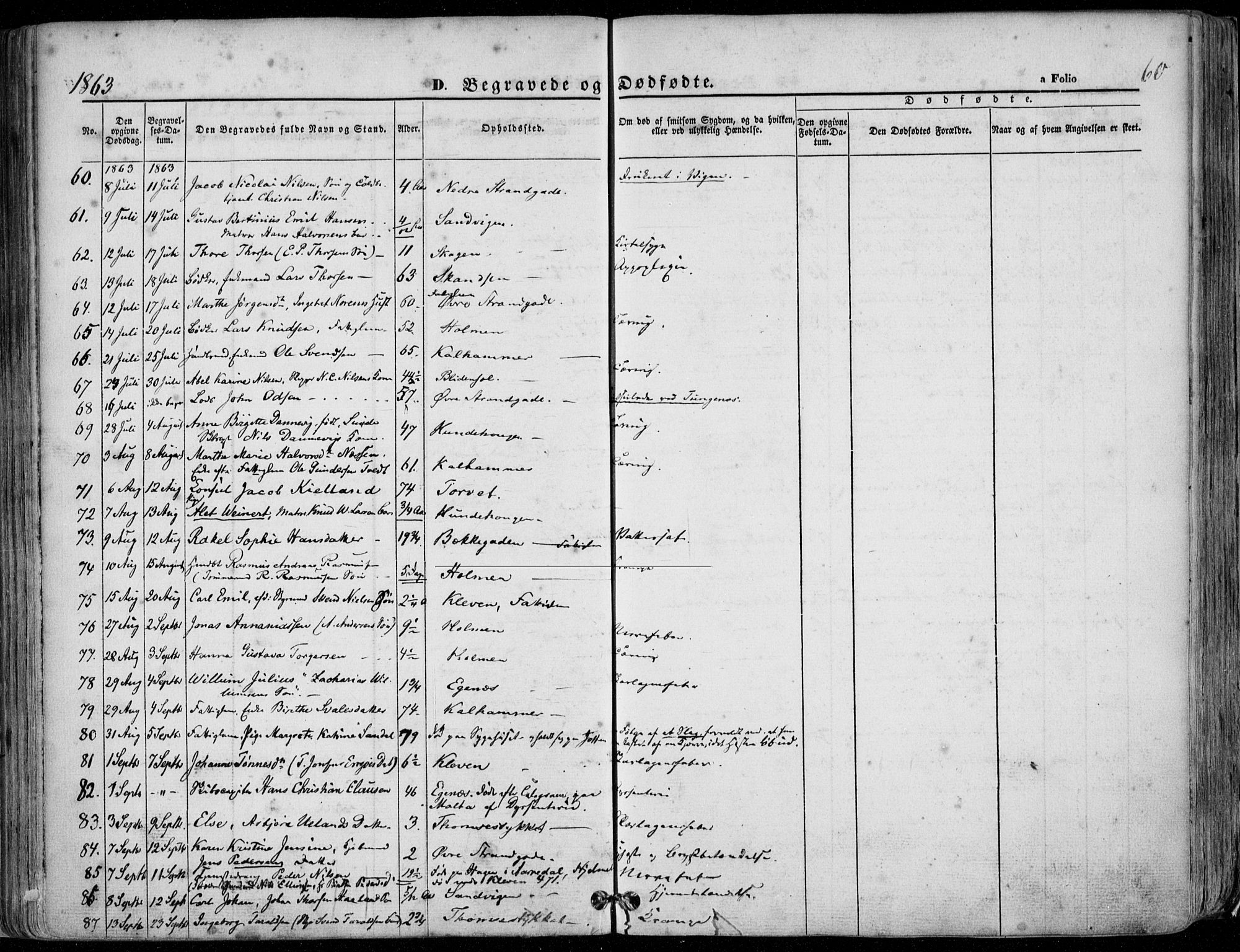 Domkirken sokneprestkontor, SAST/A-101812/001/30/30BA/L0020: Parish register (official) no. A 19, 1858-1877, p. 60