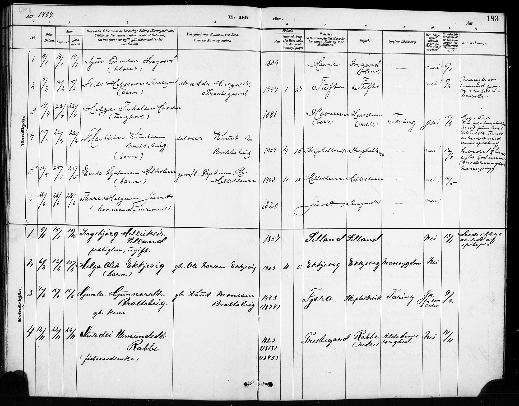 Røldal sokneprestembete, SAB/A-100247: Parish register (copy) no. A 3, 1887-1917, p. 183