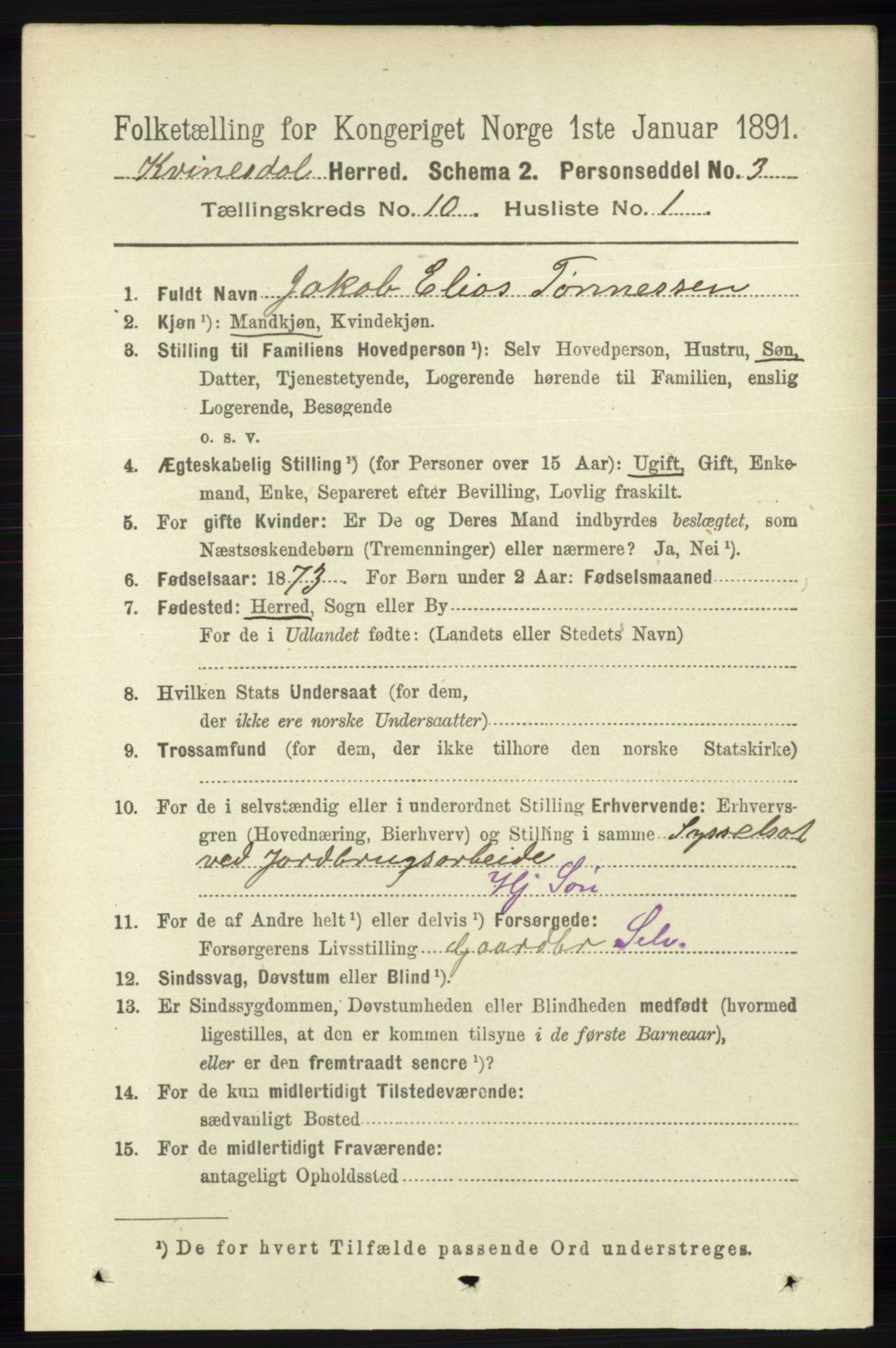 RA, 1891 census for 1037 Kvinesdal, 1891, p. 3861