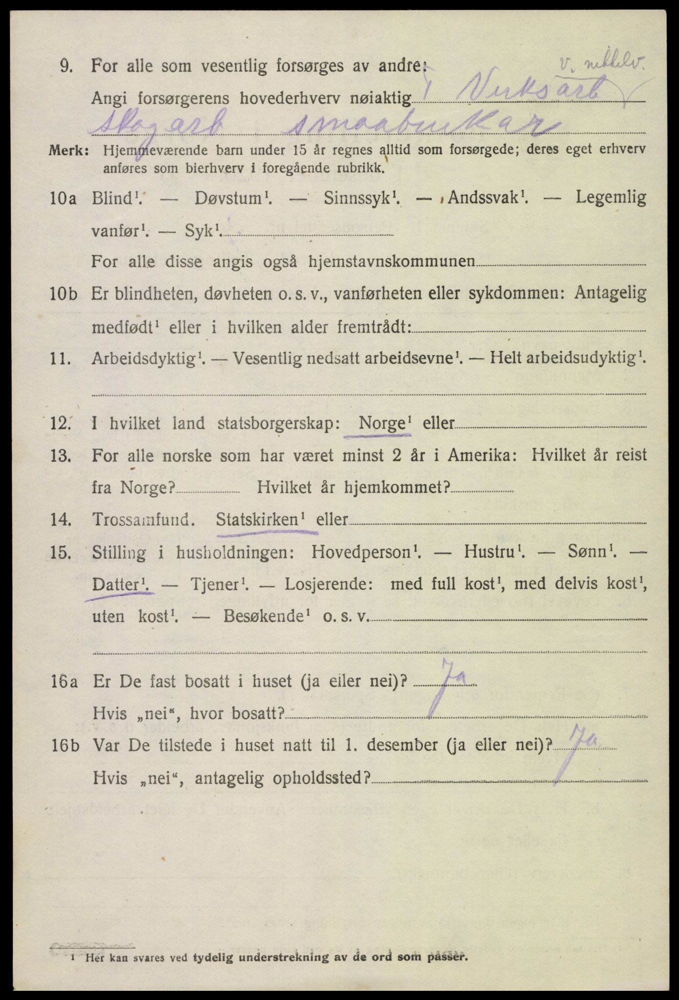 SAK, 1920 census for Hornnes, 1920, p. 888