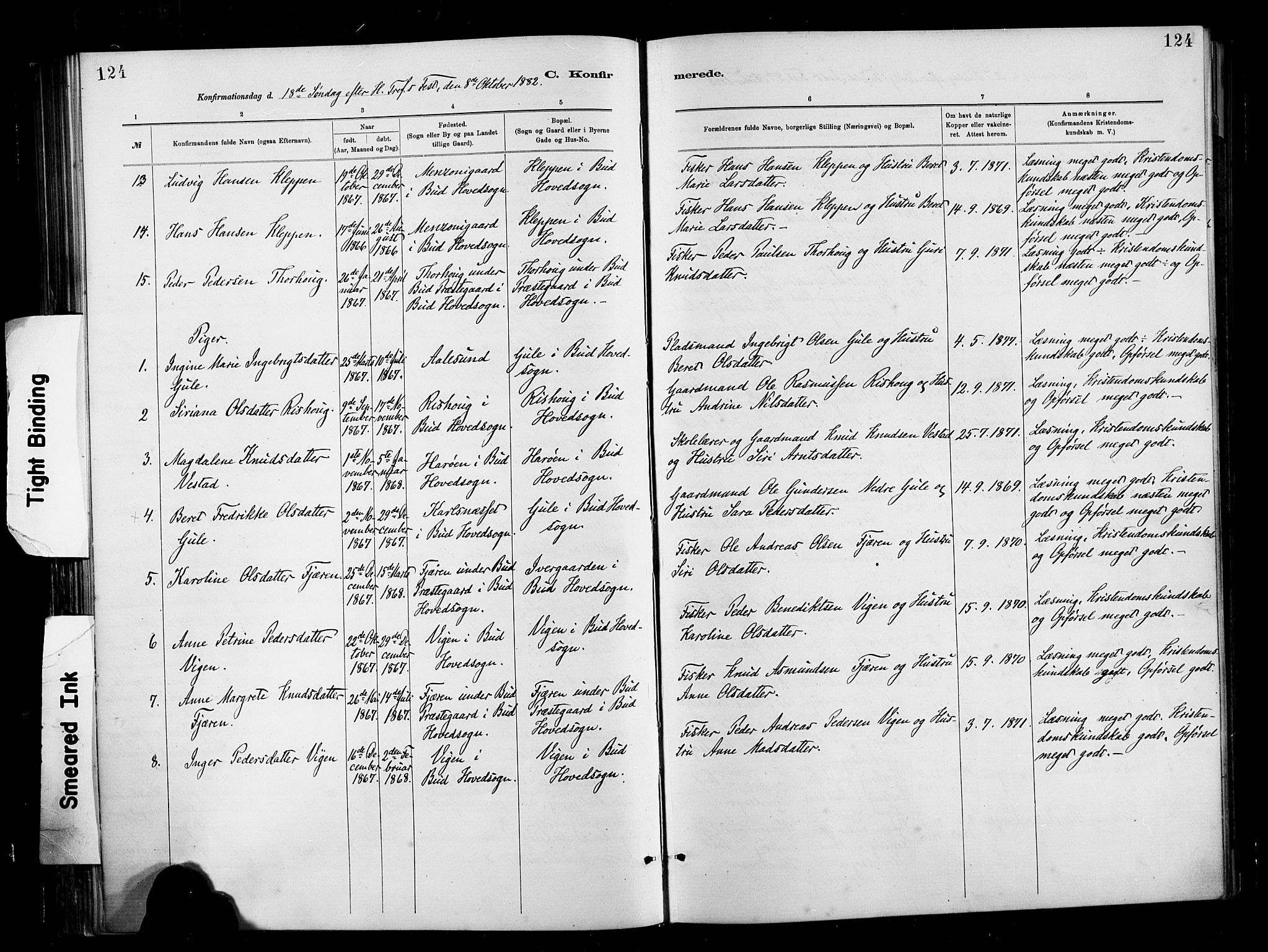 Ministerialprotokoller, klokkerbøker og fødselsregistre - Møre og Romsdal, AV/SAT-A-1454/566/L0769: Parish register (official) no. 566A08, 1881-1903, p. 124