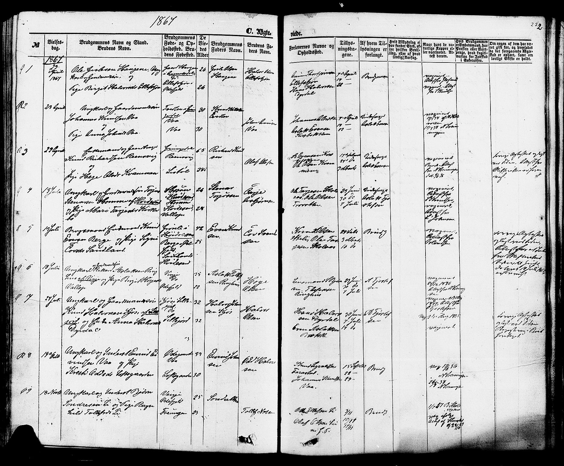 Rauland kirkebøker, AV/SAKO-A-292/F/Fa/L0003: Parish register (official) no. I 3, 1859-1886, p. 232