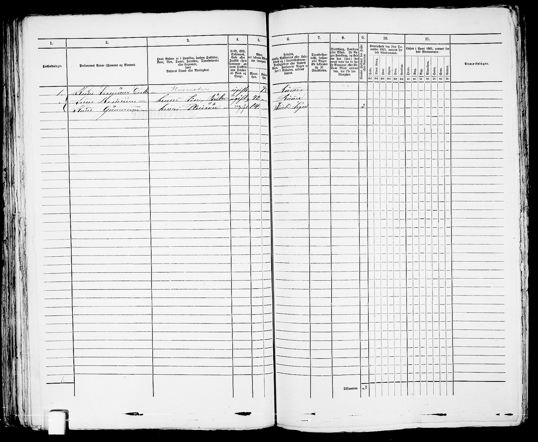 RA, 1865 census for Risør/Risør, 1865, p. 452