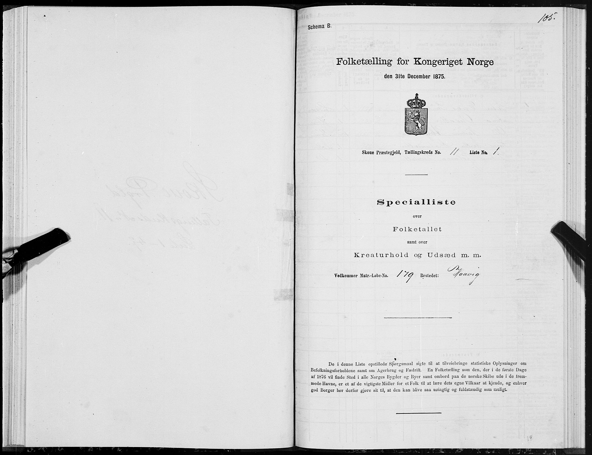 SAT, 1875 census for 1529P Skodje, 1875, p. 3105