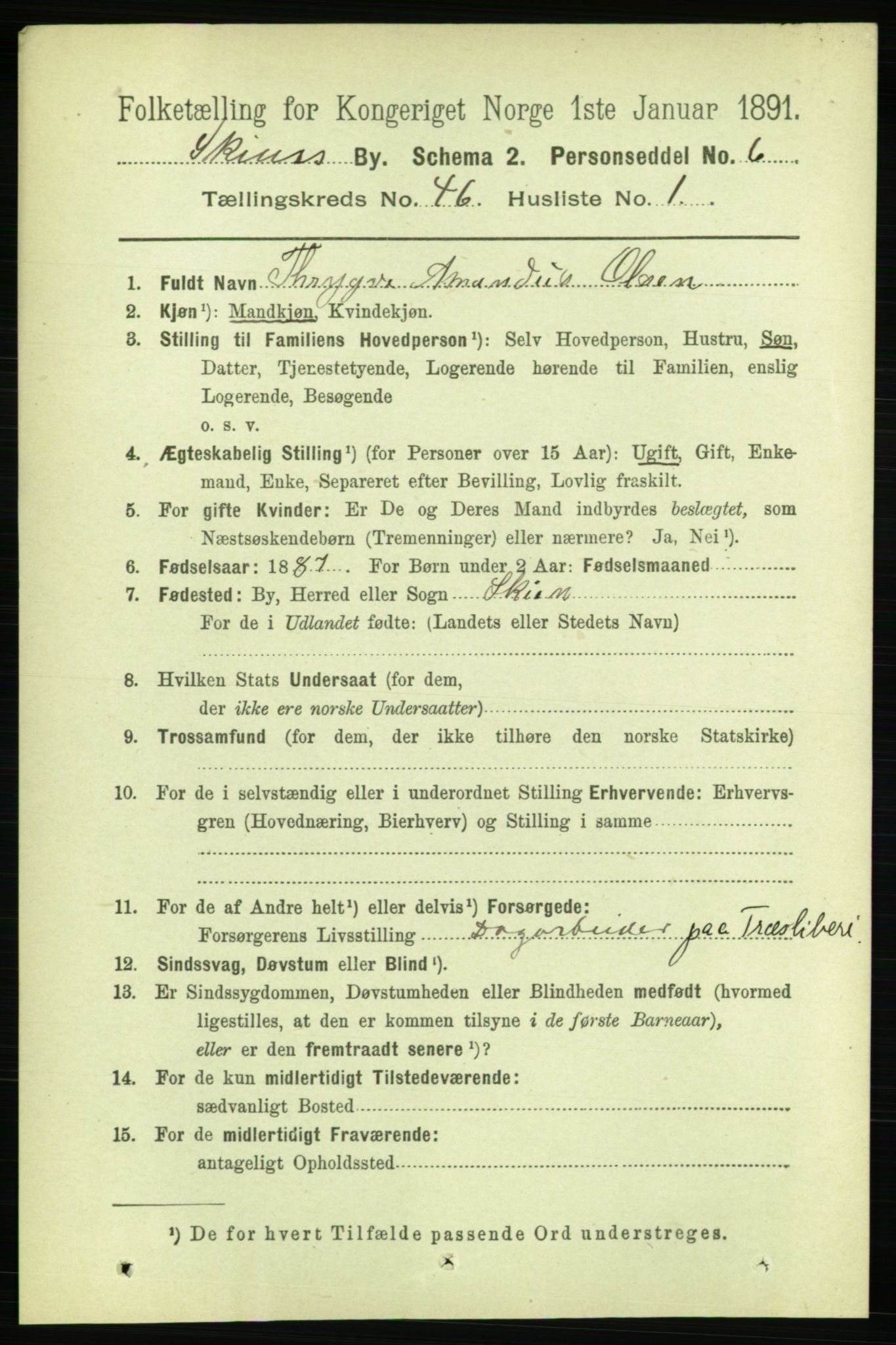 RA, 1891 census for 0806 Skien, 1891, p. 9142