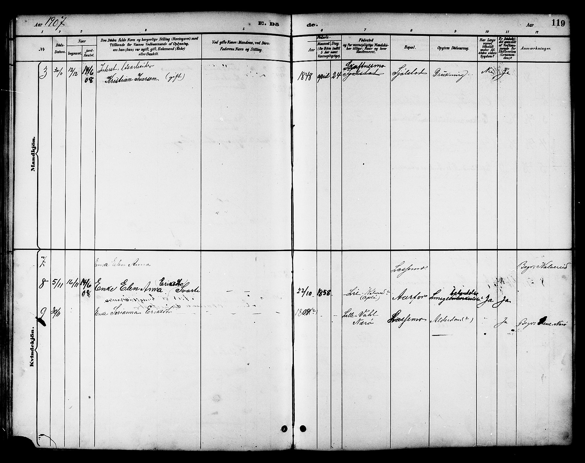 Ministerialprotokoller, klokkerbøker og fødselsregistre - Nord-Trøndelag, SAT/A-1458/783/L0662: Parish register (copy) no. 783C02, 1894-1919, p. 119