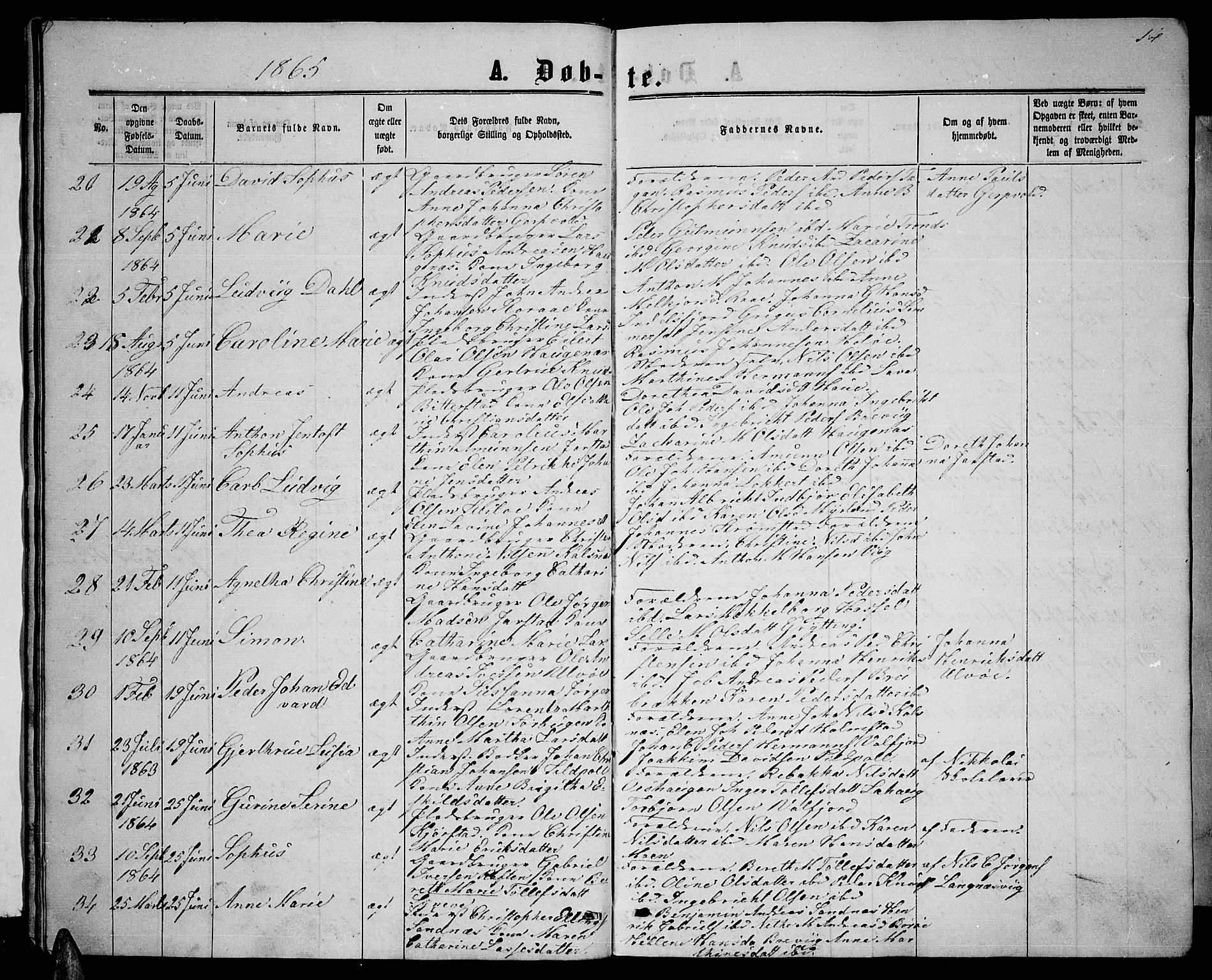 Ministerialprotokoller, klokkerbøker og fødselsregistre - Nordland, AV/SAT-A-1459/888/L1266: Parish register (copy) no. 888C04, 1864-1877, p. 14