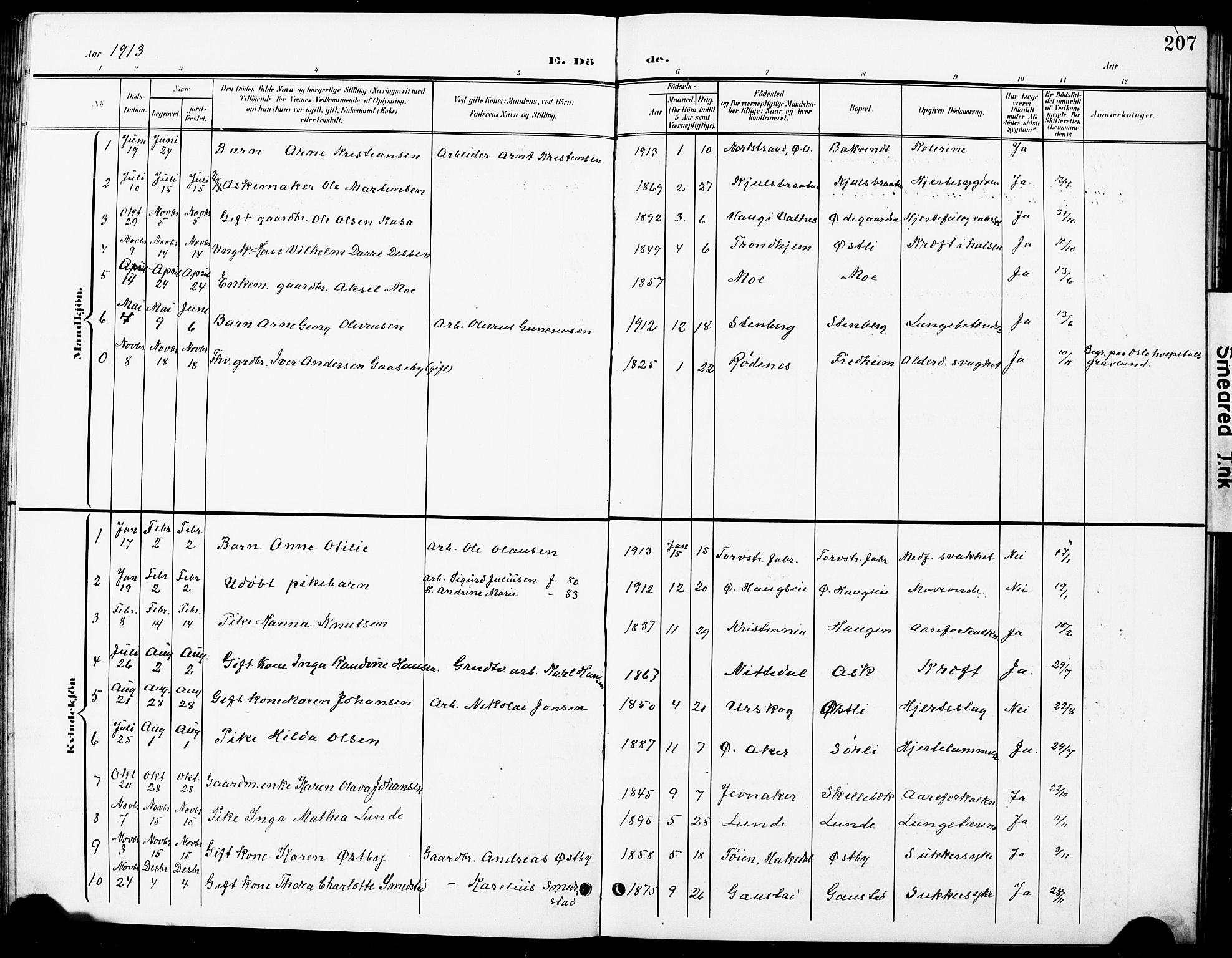 Nittedal prestekontor Kirkebøker, SAO/A-10365a/G/Ga/L0003: Parish register (copy) no. I 3, 1902-1929, p. 207