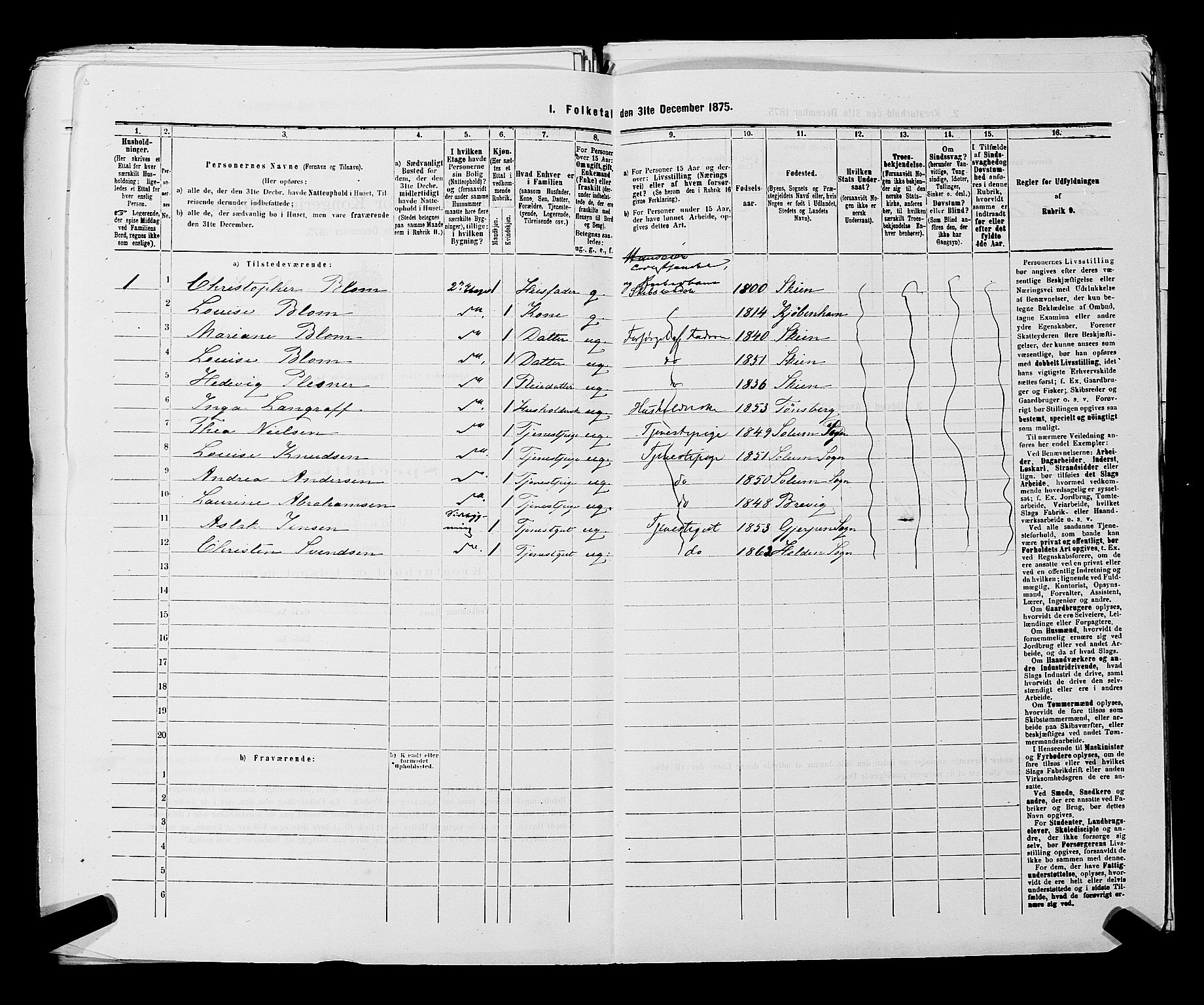 SAKO, 1875 census for 0806P Skien, 1875, p. 214