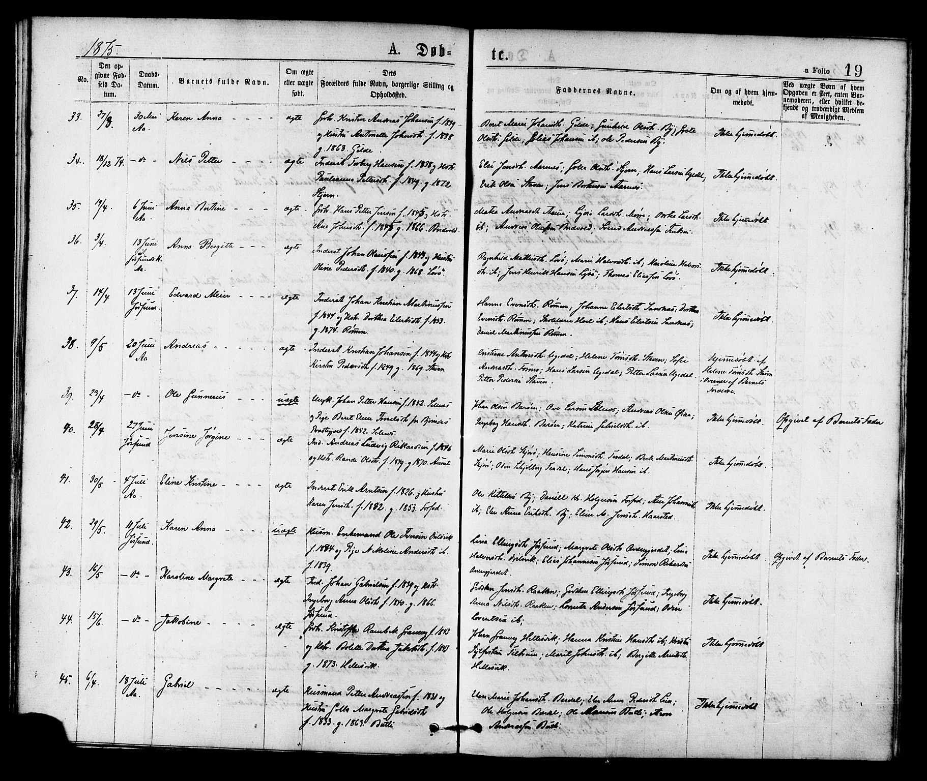Ministerialprotokoller, klokkerbøker og fødselsregistre - Sør-Trøndelag, SAT/A-1456/655/L0679: Parish register (official) no. 655A08, 1873-1879, p. 19