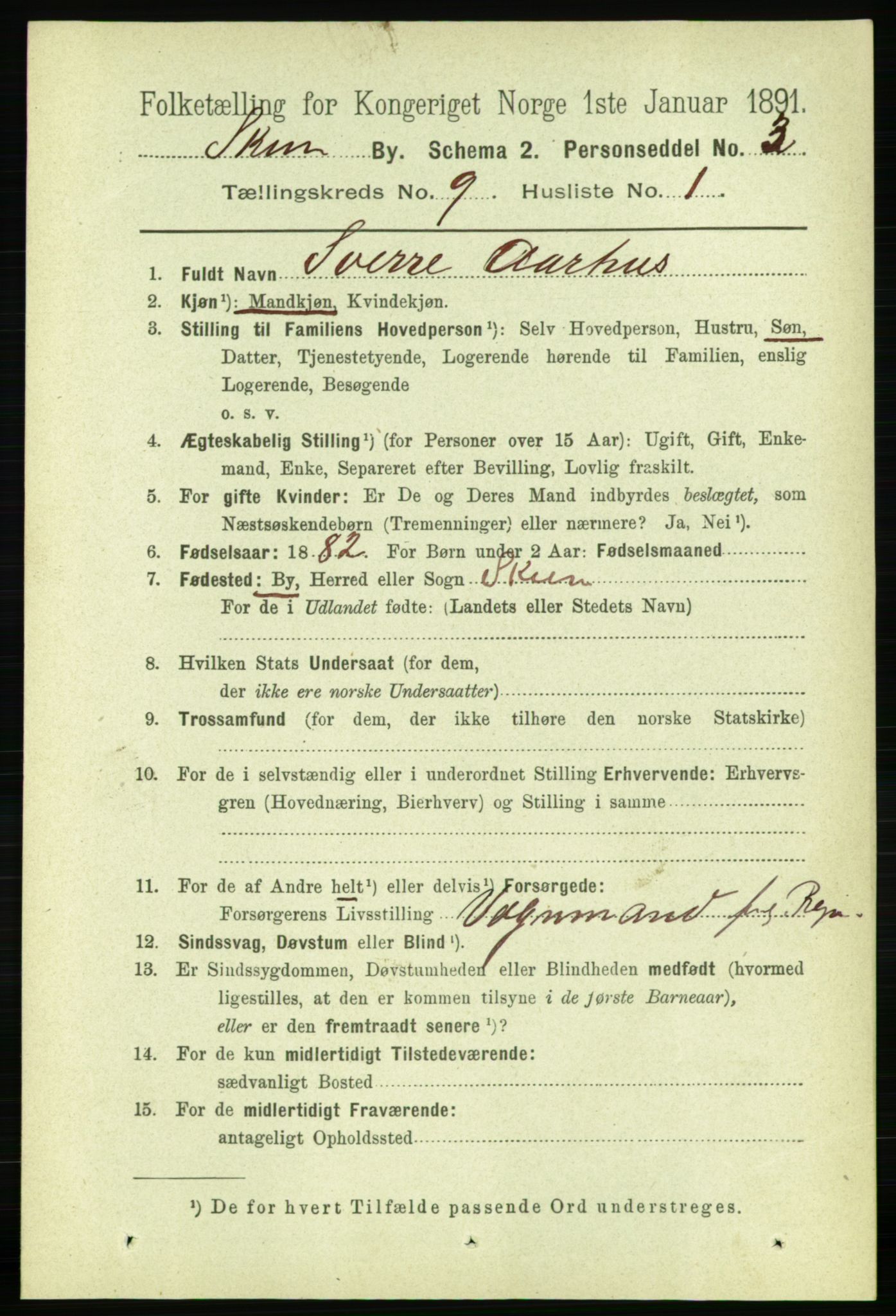 RA, 1891 census for 0806 Skien, 1891, p. 3519