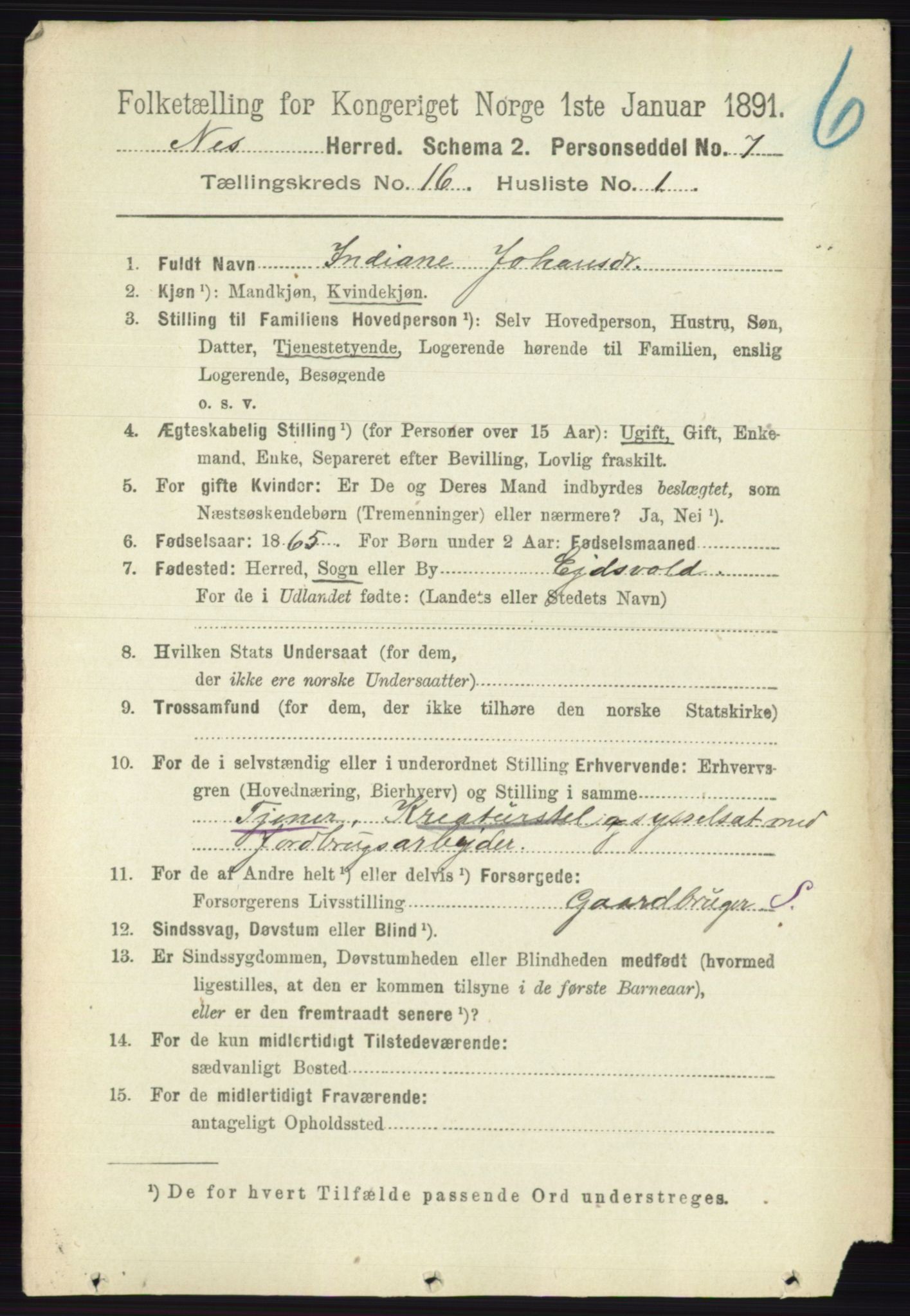 RA, 1891 census for 0236 Nes, 1891, p. 9555