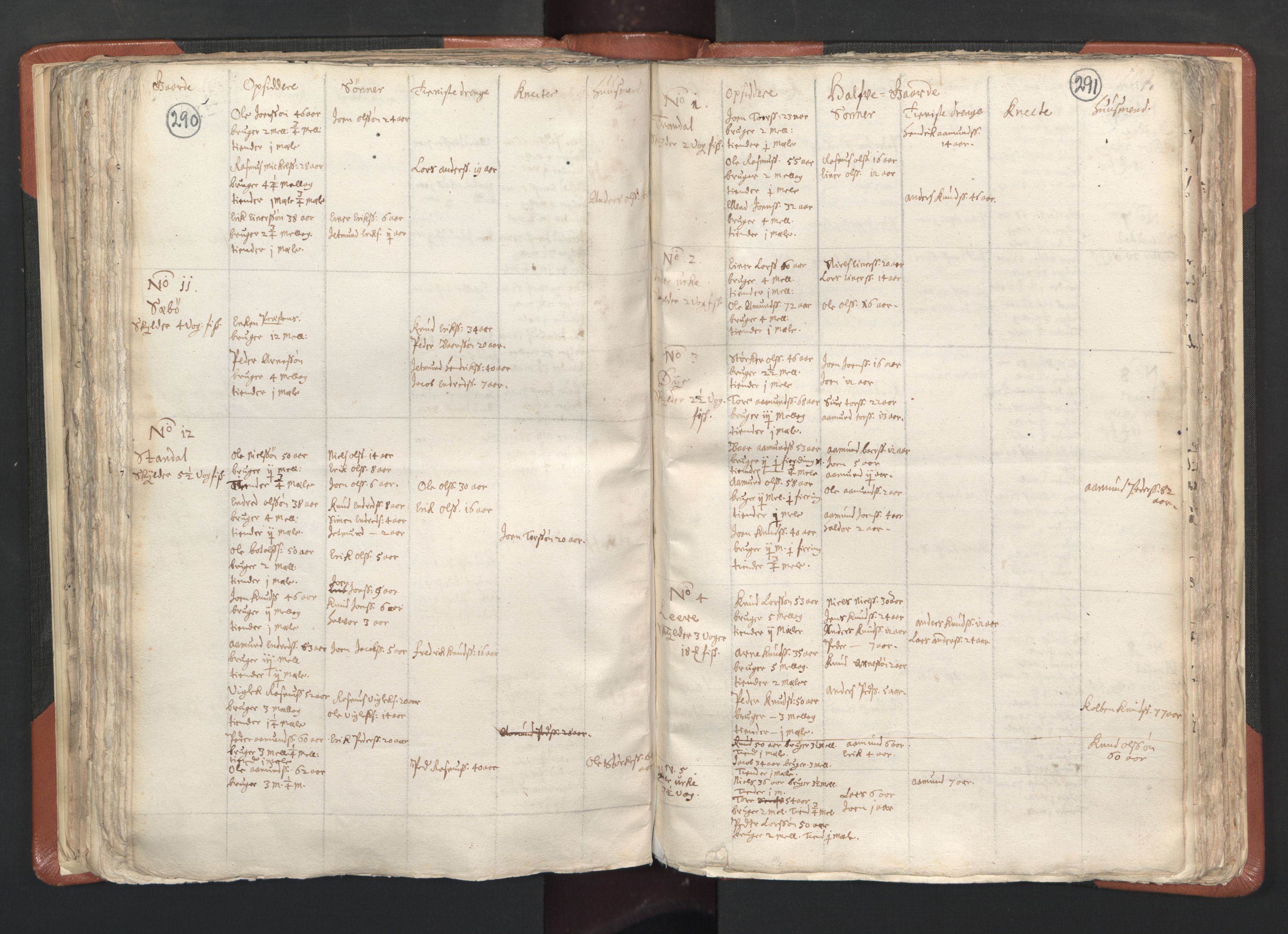RA, Vicar's Census 1664-1666, no. 26: Sunnmøre deanery, 1664-1666, p. 290-291