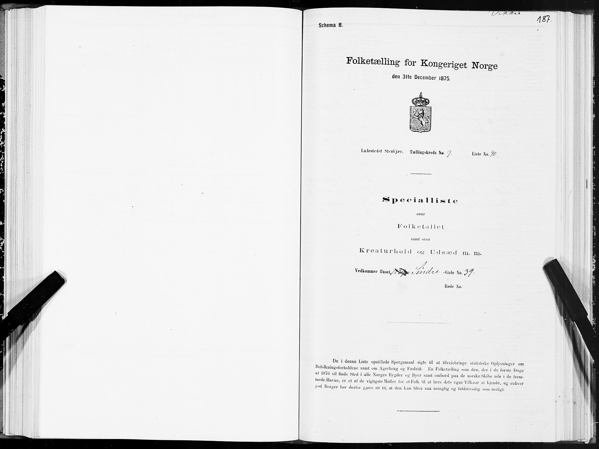 SAT, 1875 census for 1702B Steinkjer/Steinkjer, 1875, p. 187