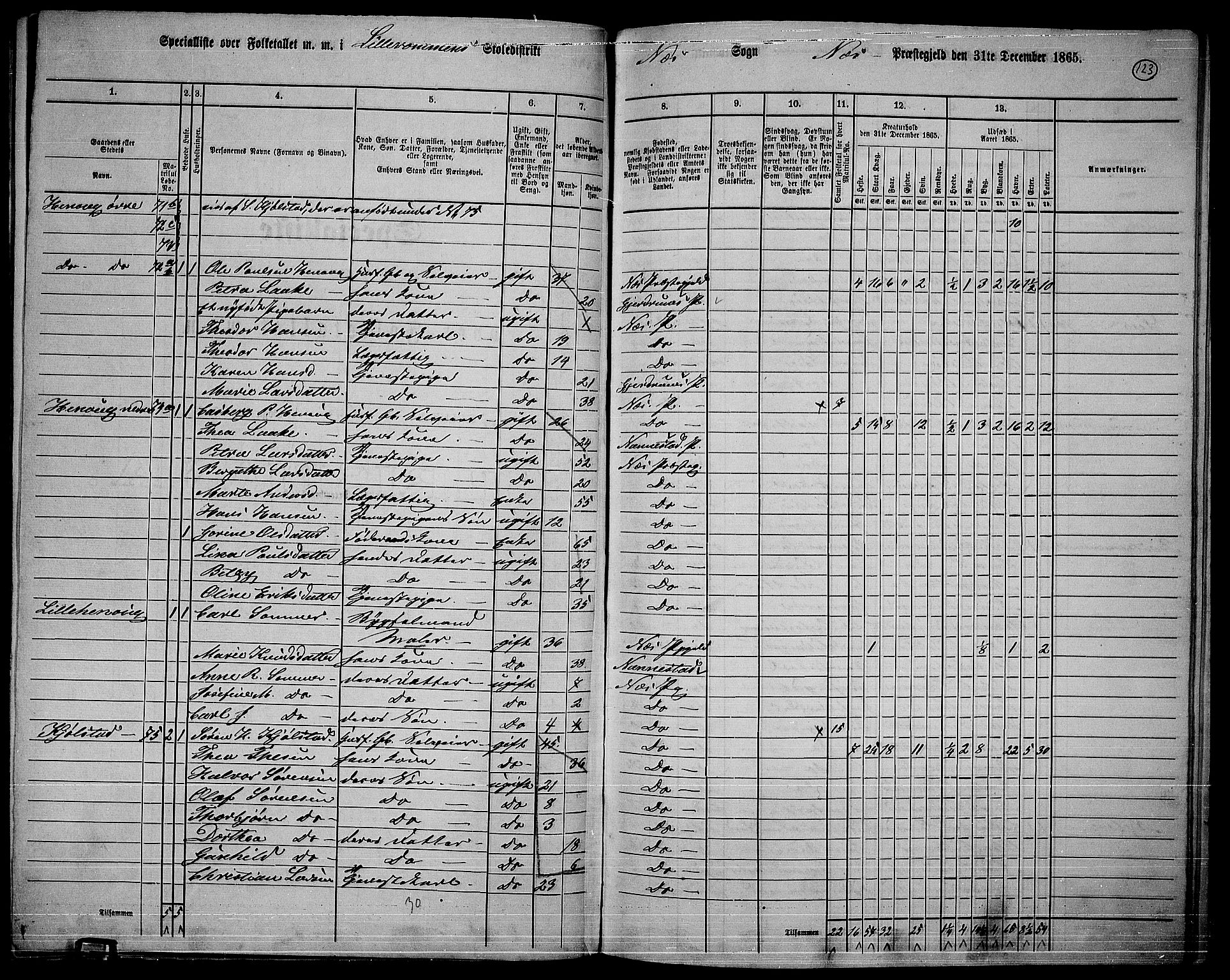 RA, 1865 census for Nes, 1865, p. 110