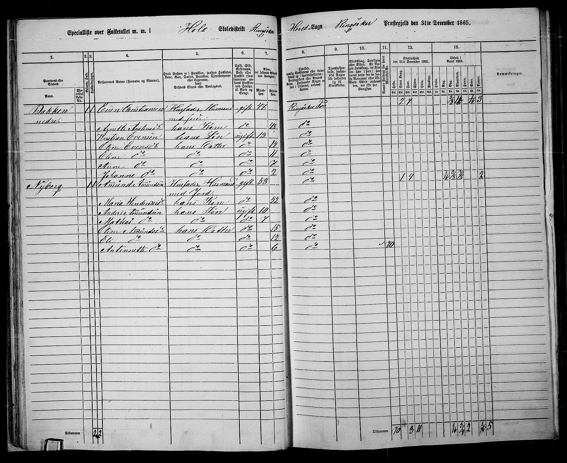 RA, 1865 census for Ringsaker, 1865, p. 50