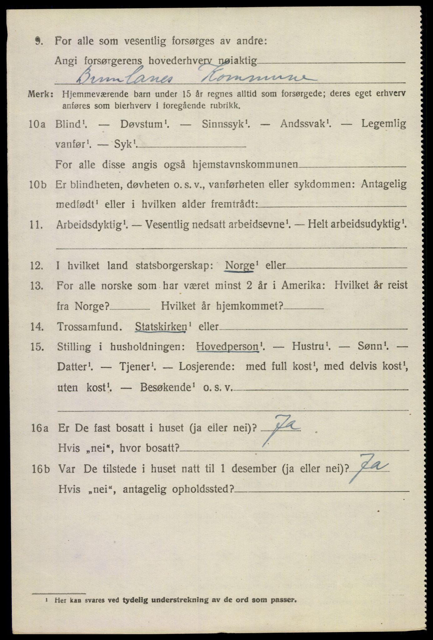 SAKO, 1920 census for Brunlanes, 1920, p. 3316