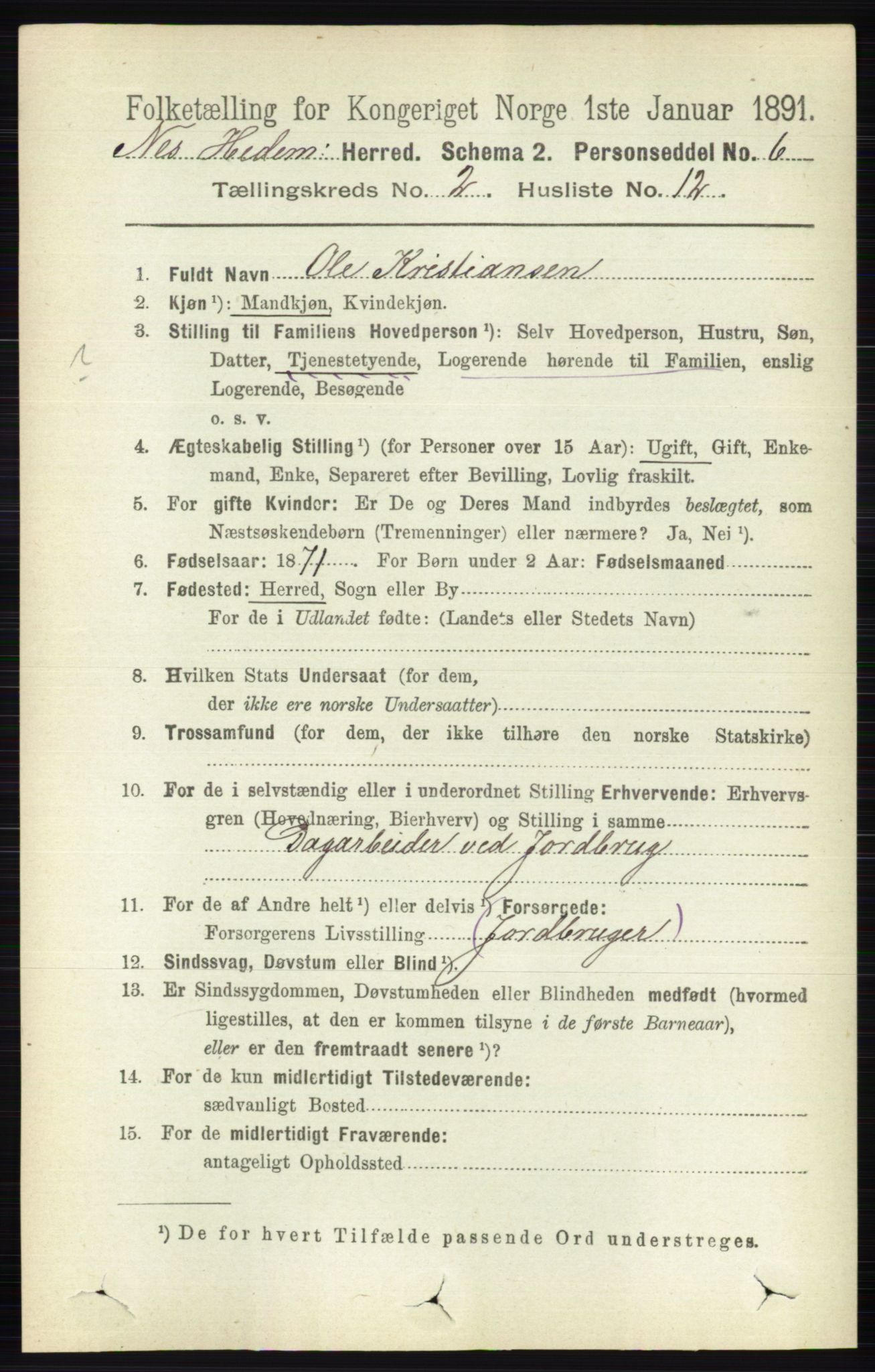 RA, 1891 census for 0411 Nes, 1891, p. 1141