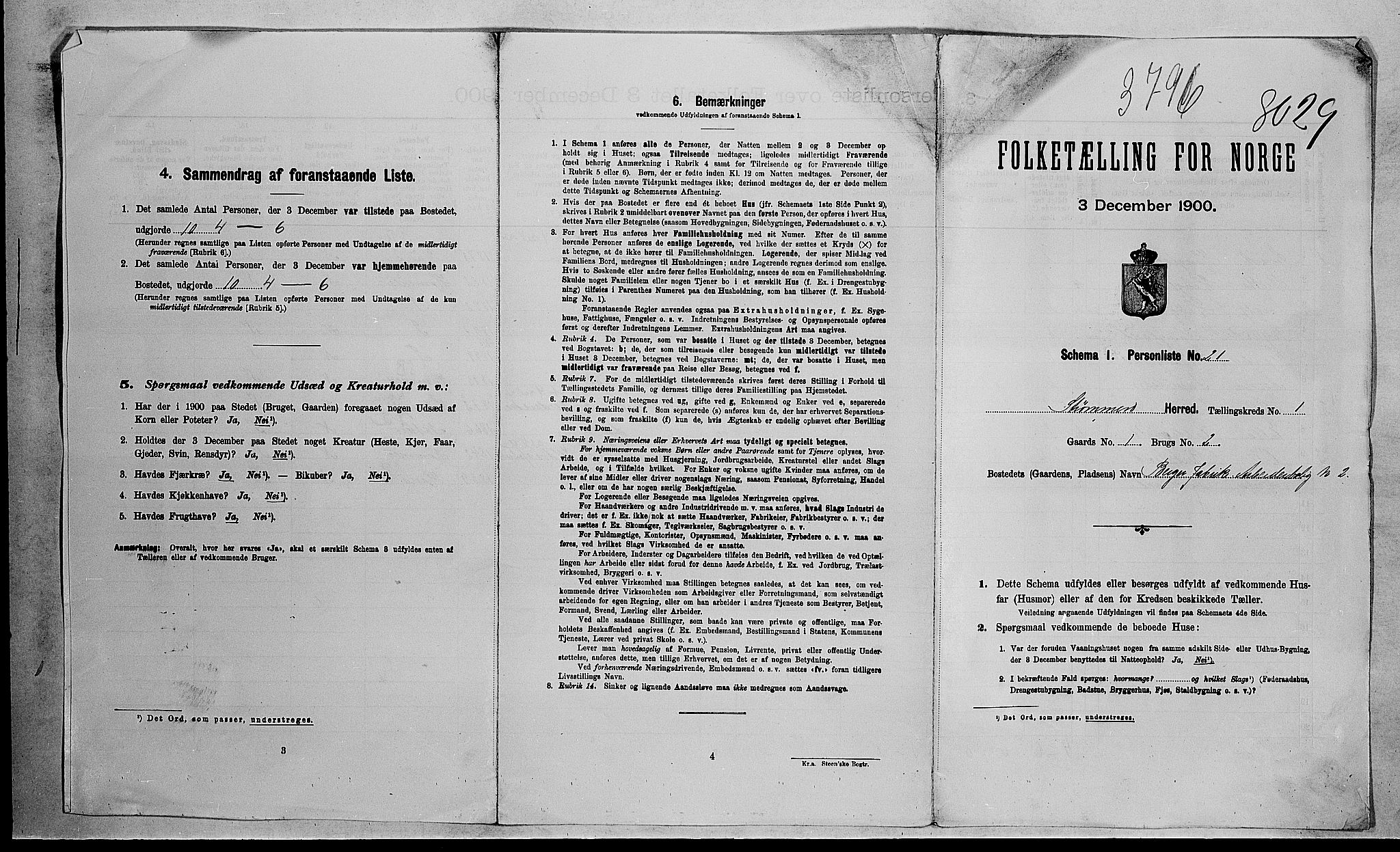 RA, 1900 census for Strømm, 1900, p. 17