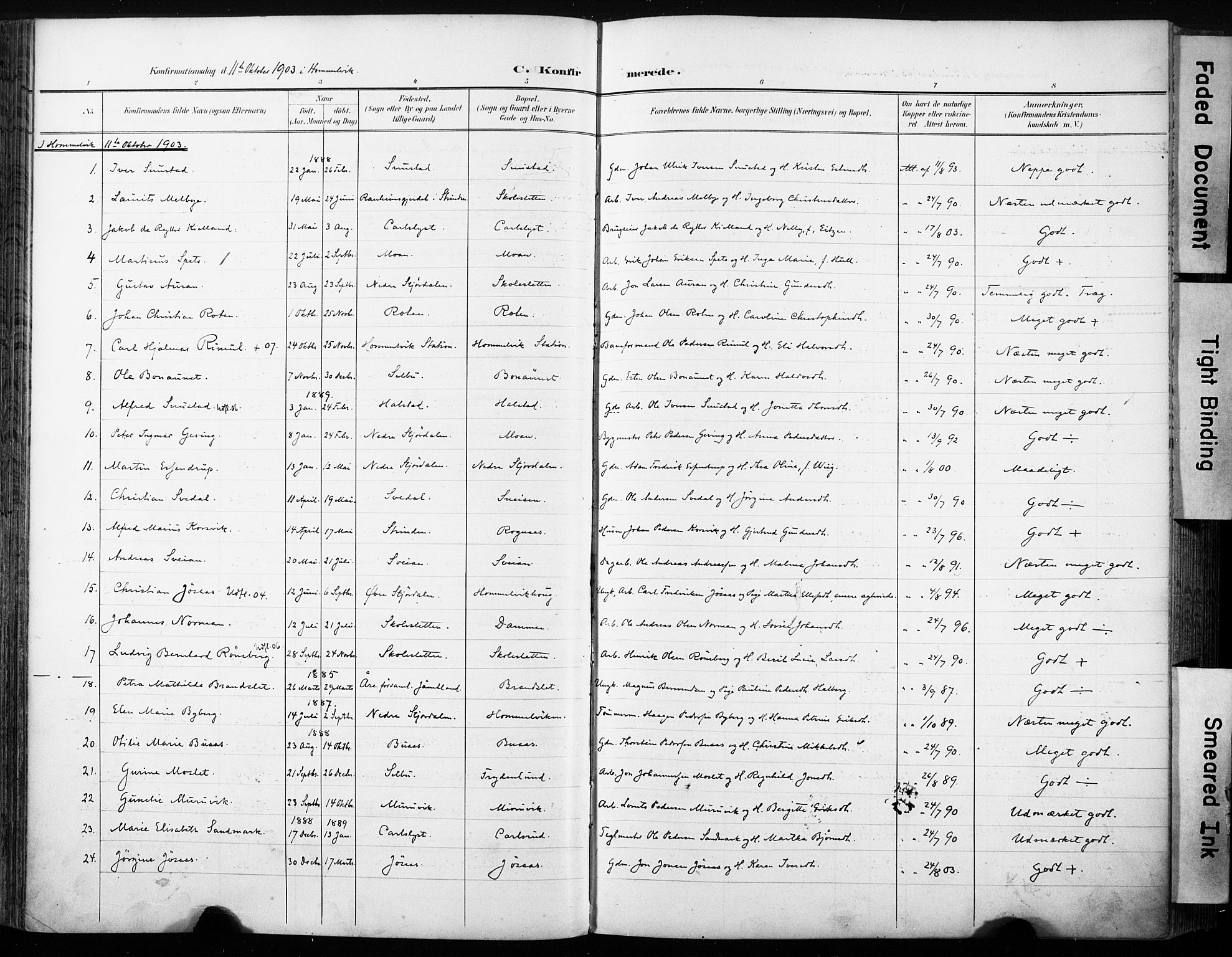 Ministerialprotokoller, klokkerbøker og fødselsregistre - Sør-Trøndelag, AV/SAT-A-1456/616/L0411: Parish register (official) no. 616A08, 1894-1906