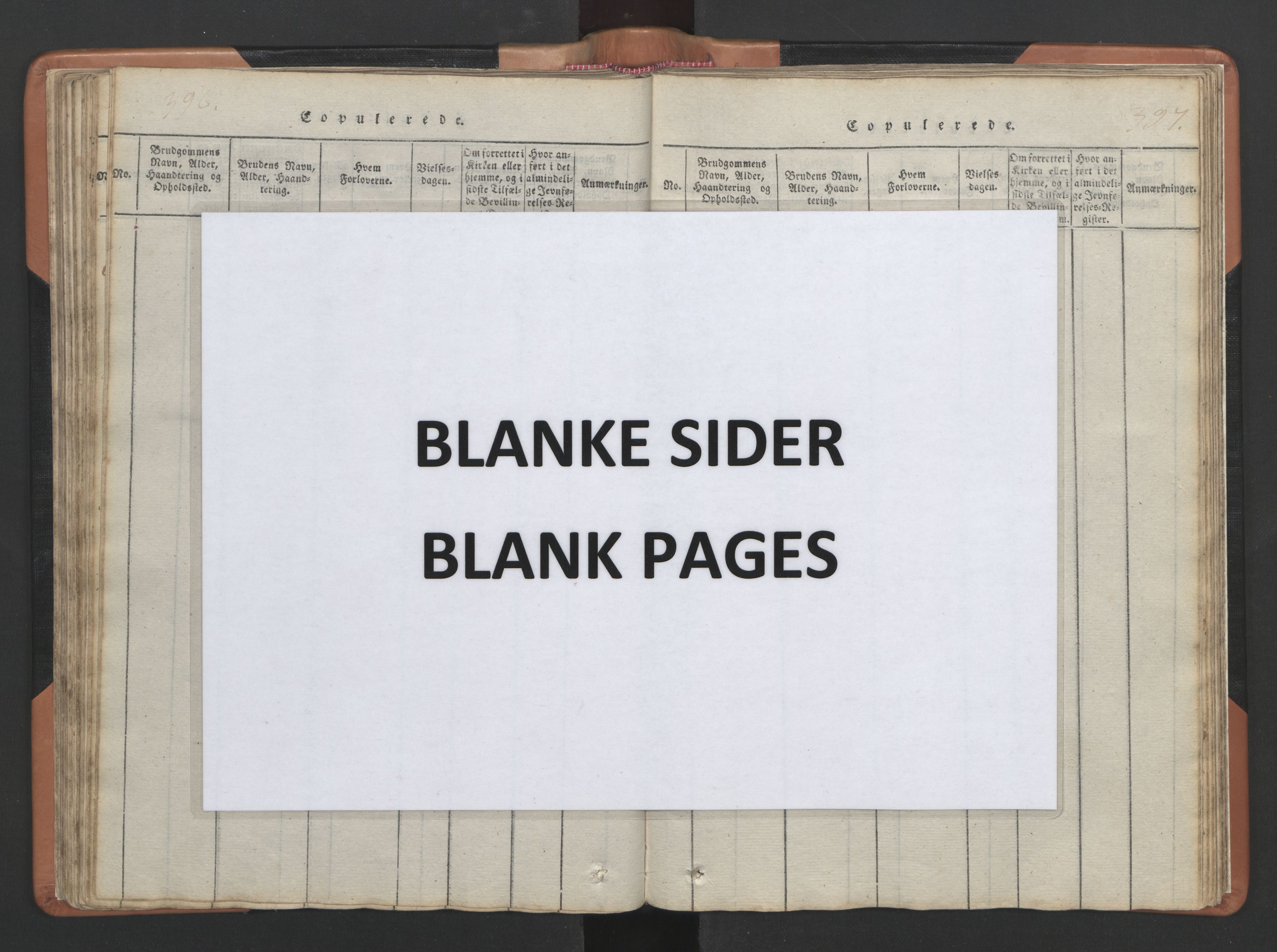 Ministerialprotokoller, klokkerbøker og fødselsregistre - Nordland, AV/SAT-A-1459/810/L0157: Parish register (copy) no. 810C01, 1819-1842, p. 396-397