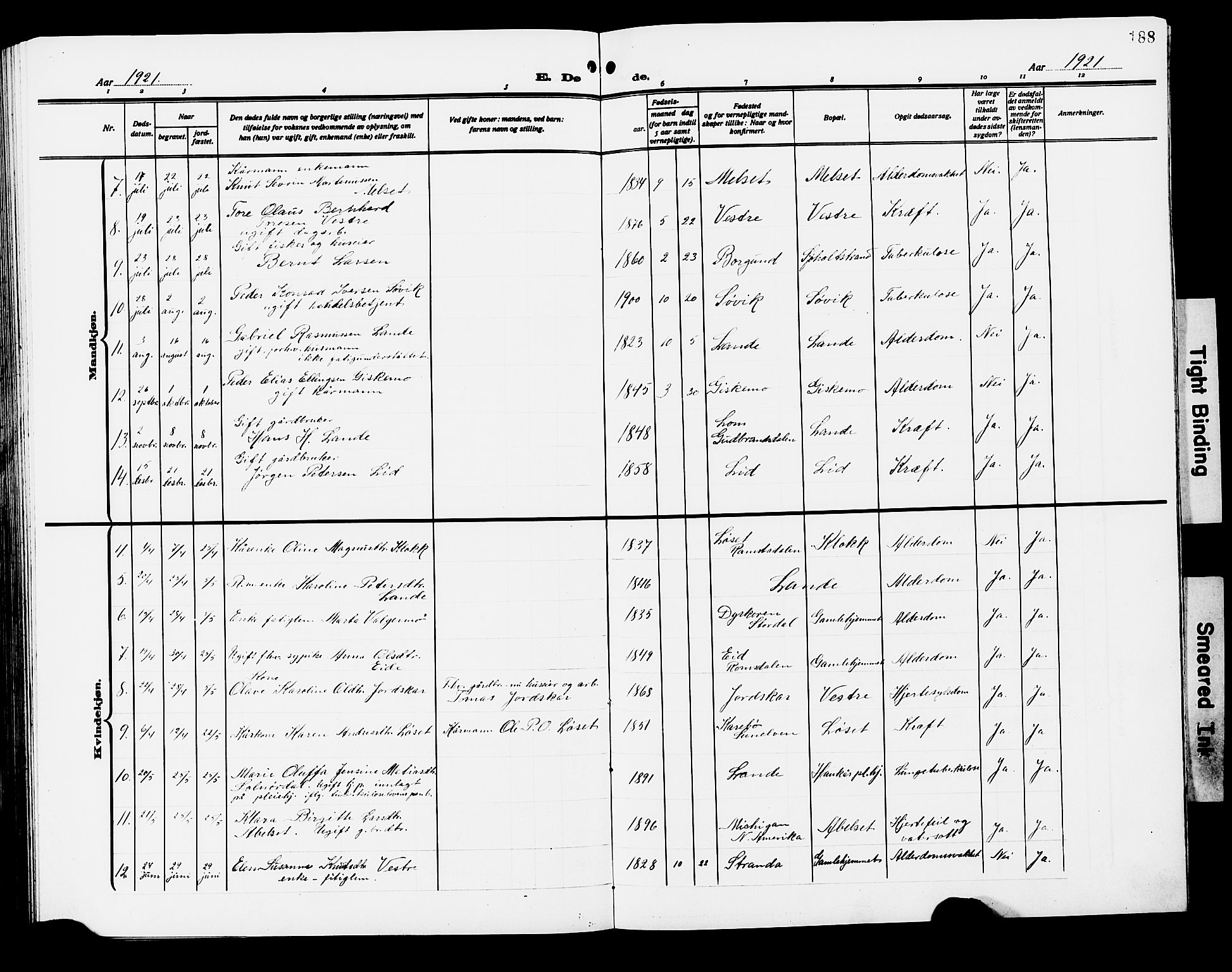 Ministerialprotokoller, klokkerbøker og fødselsregistre - Møre og Romsdal, AV/SAT-A-1454/522/L0328: Parish register (copy) no. 522C07, 1909-1925, p. 188