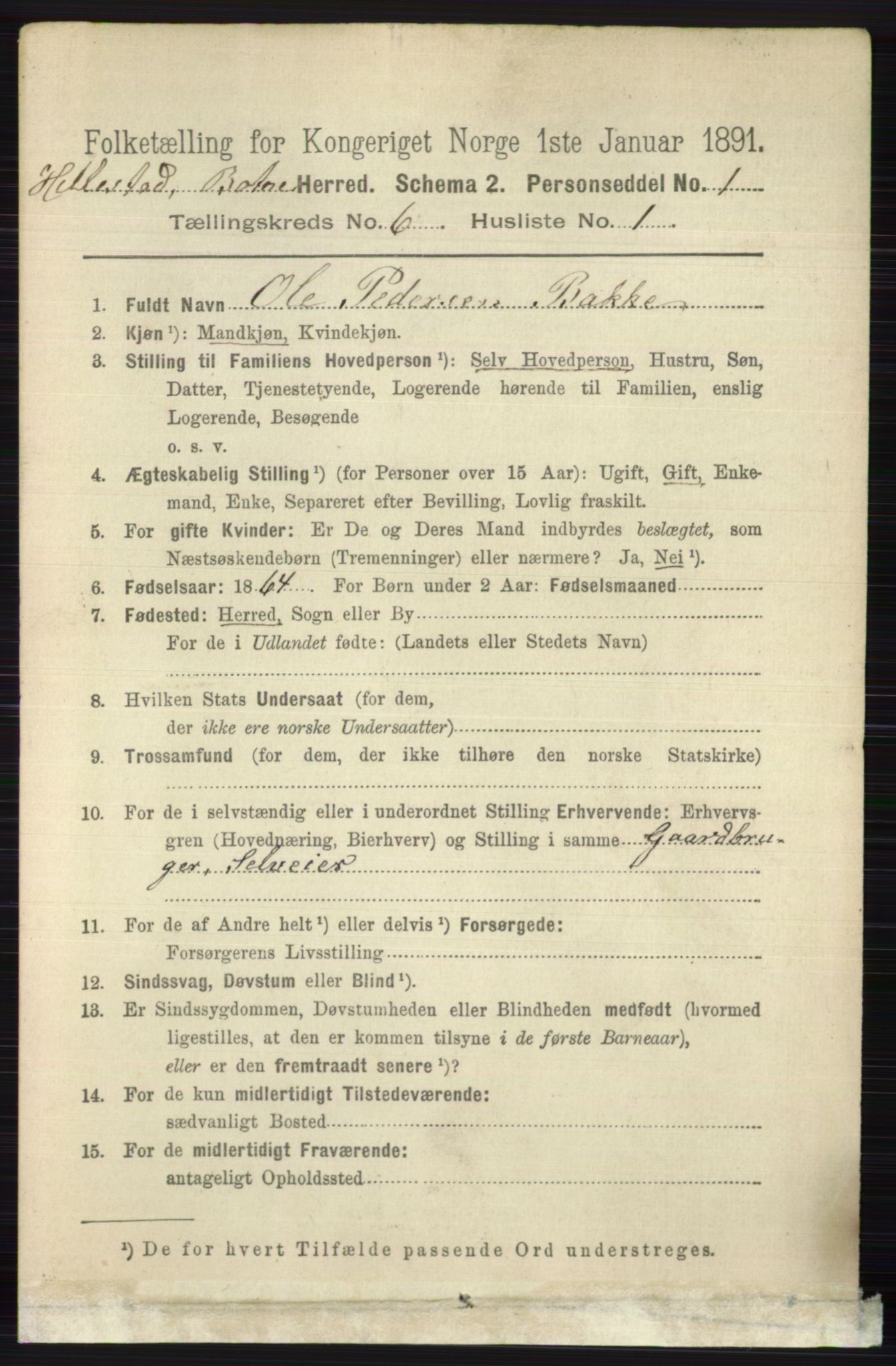 RA, 1891 census for 0715 Botne, 1891, p. 2290