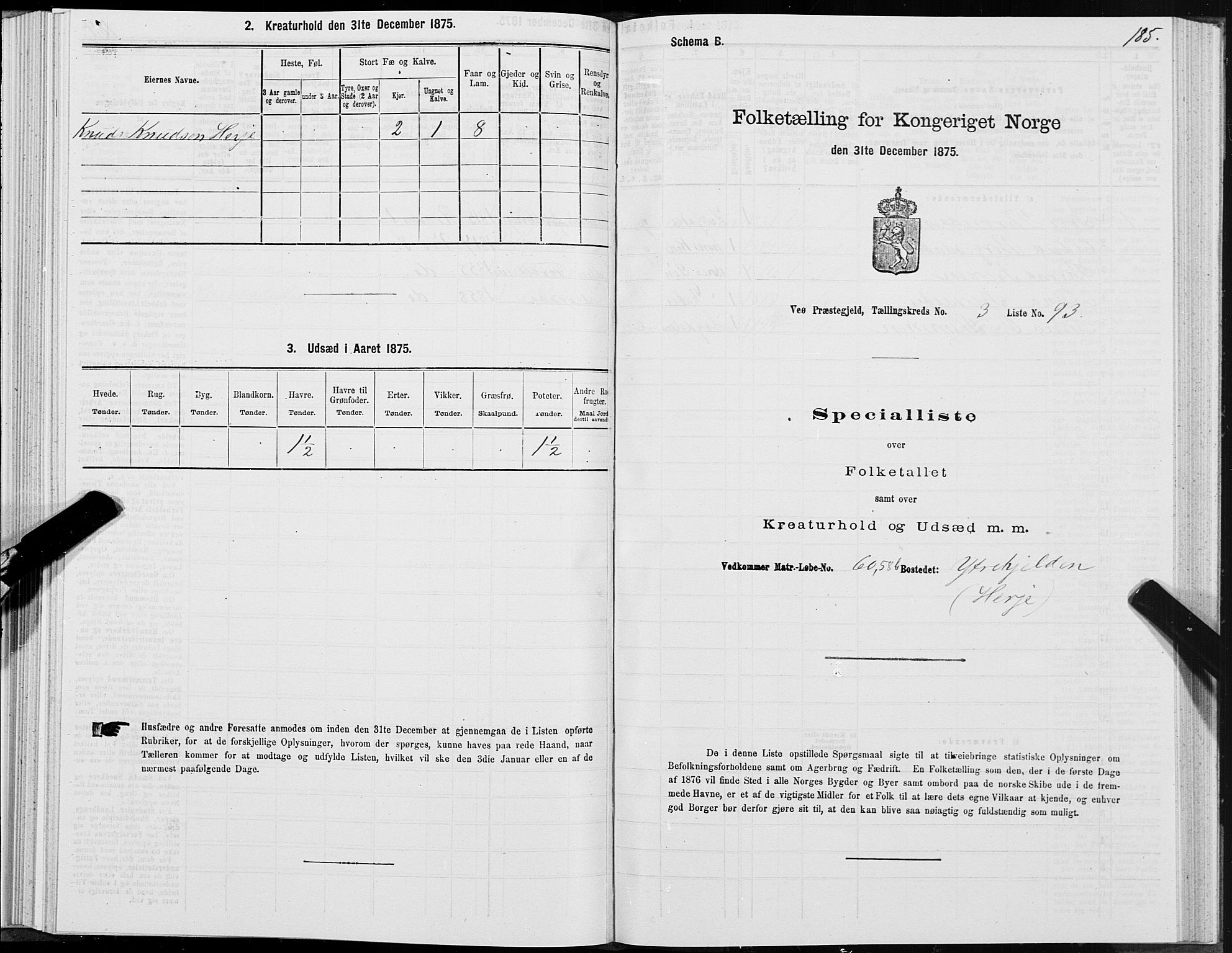 SAT, 1875 census for 1541P Veøy, 1875, p. 2185