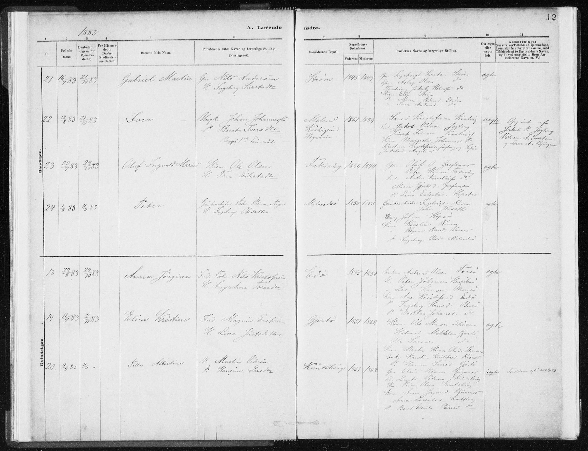 Ministerialprotokoller, klokkerbøker og fødselsregistre - Sør-Trøndelag, AV/SAT-A-1456/634/L0533: Parish register (official) no. 634A09, 1882-1901, p. 12