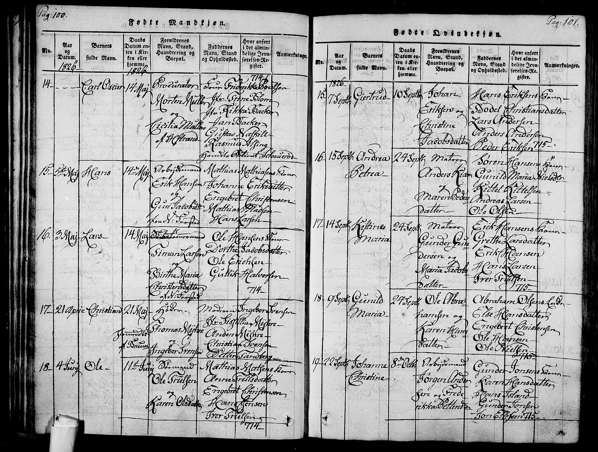 Holmestrand kirkebøker, SAKO/A-346/F/Fa/L0001: Parish register (official) no. 1, 1814-1840, p. 100-101