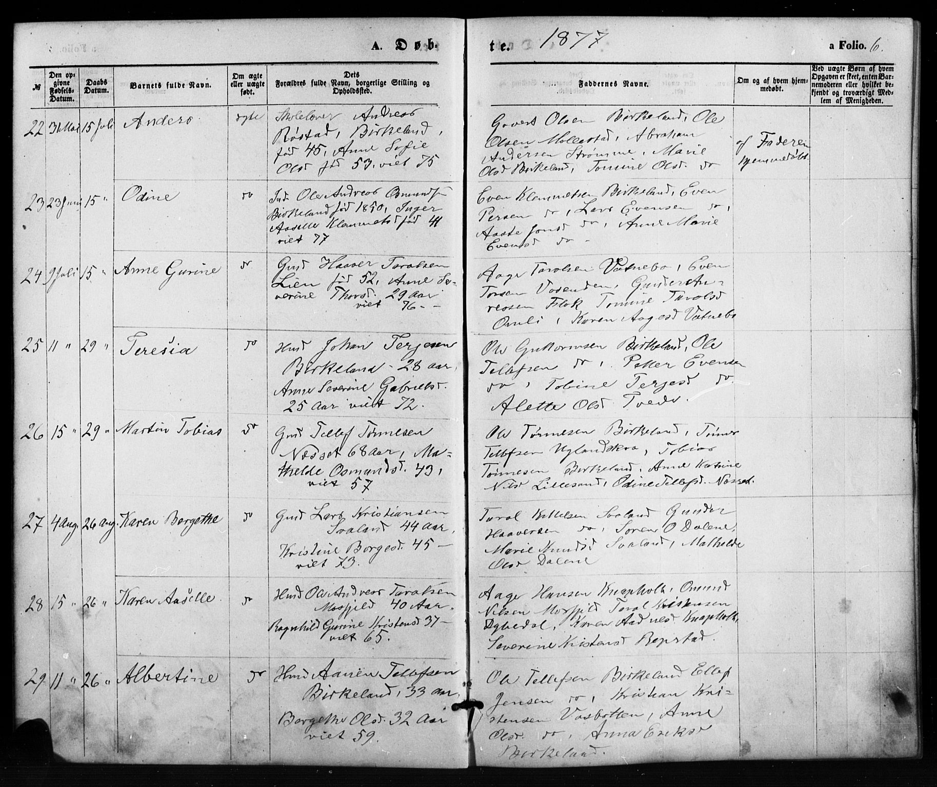 Birkenes sokneprestkontor, SAK/1111-0004/F/Fb/L0003: Parish register (copy) no. B 3, 1876-1892, p. 6